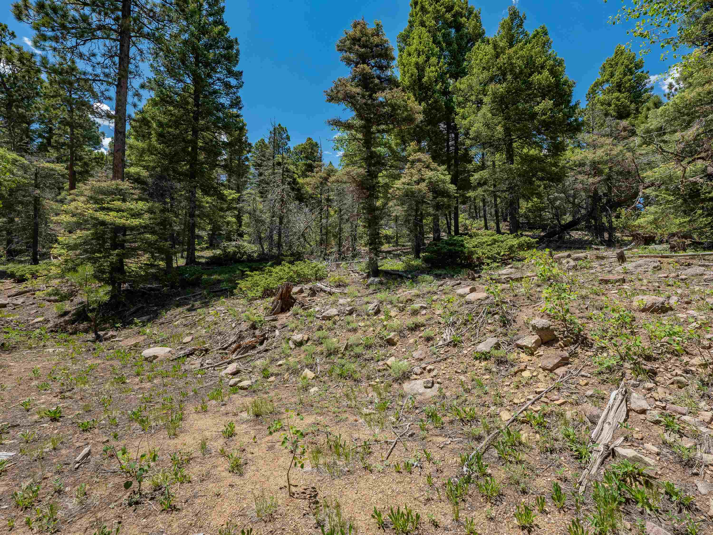 Angel Fire, New Mexico 87710, United States, ,Land,Active,163445