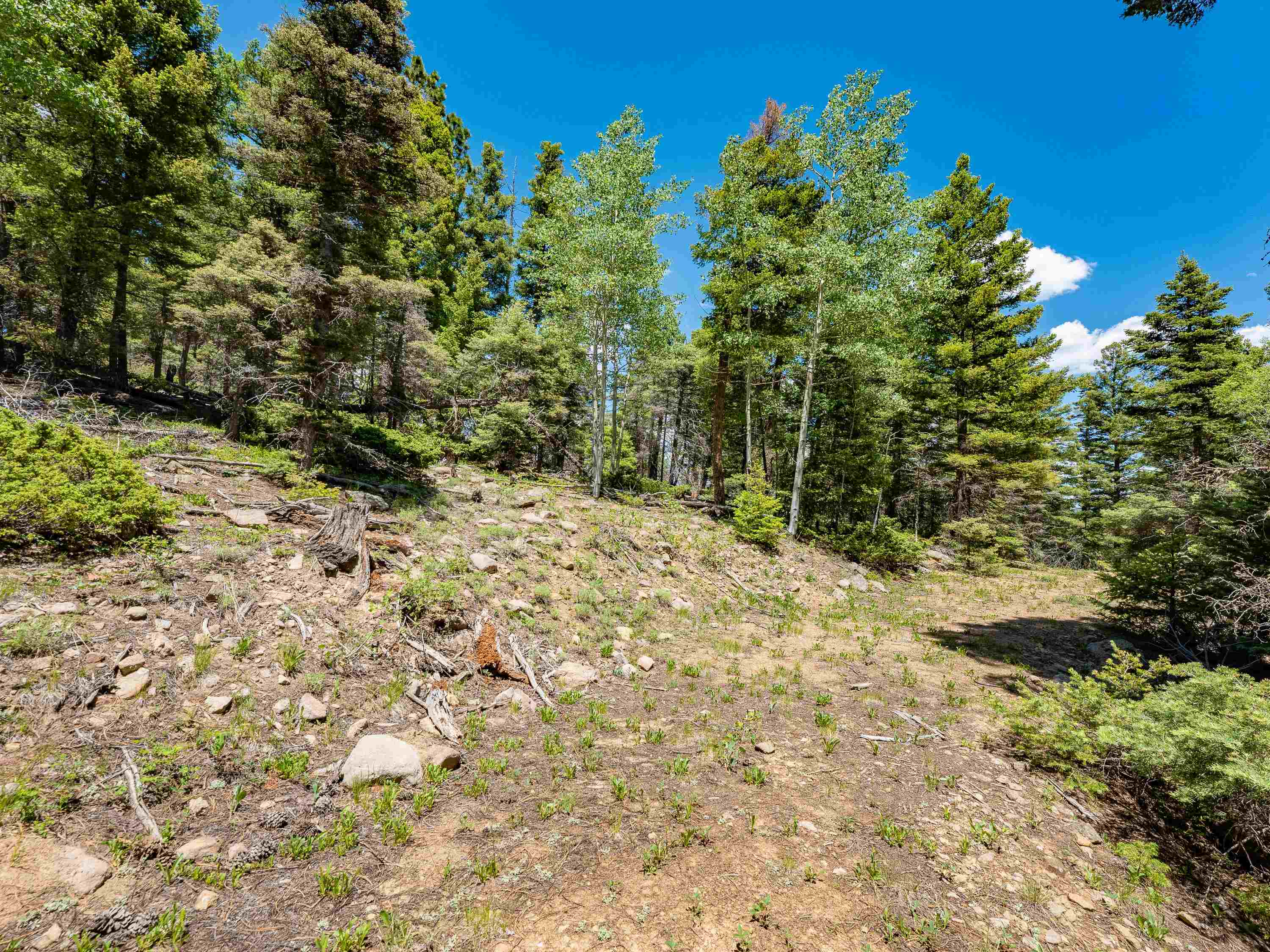 Angel Fire, New Mexico 87710, United States, ,Land,Active,163445