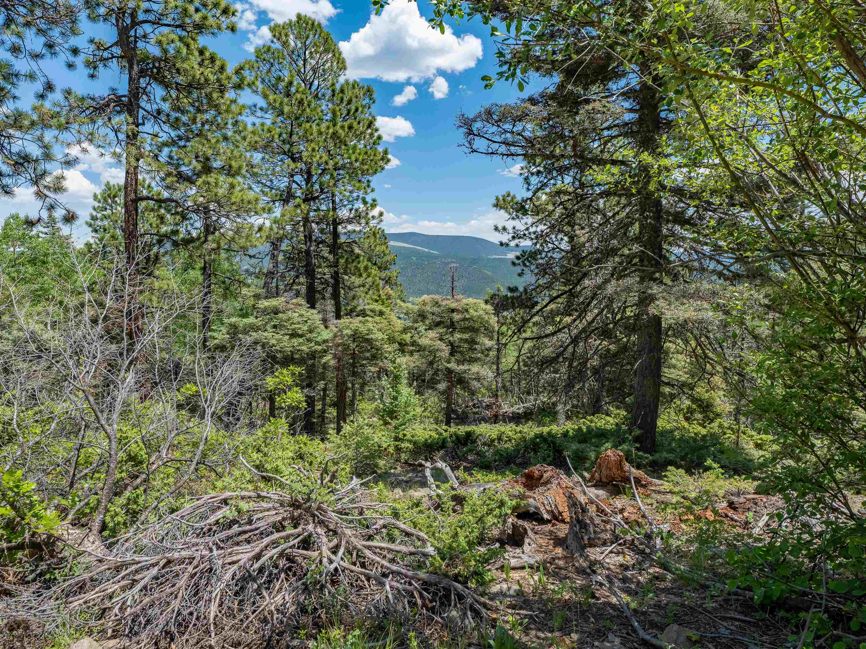 Angel Fire, New Mexico 87710, United States, ,Land,Active,163445