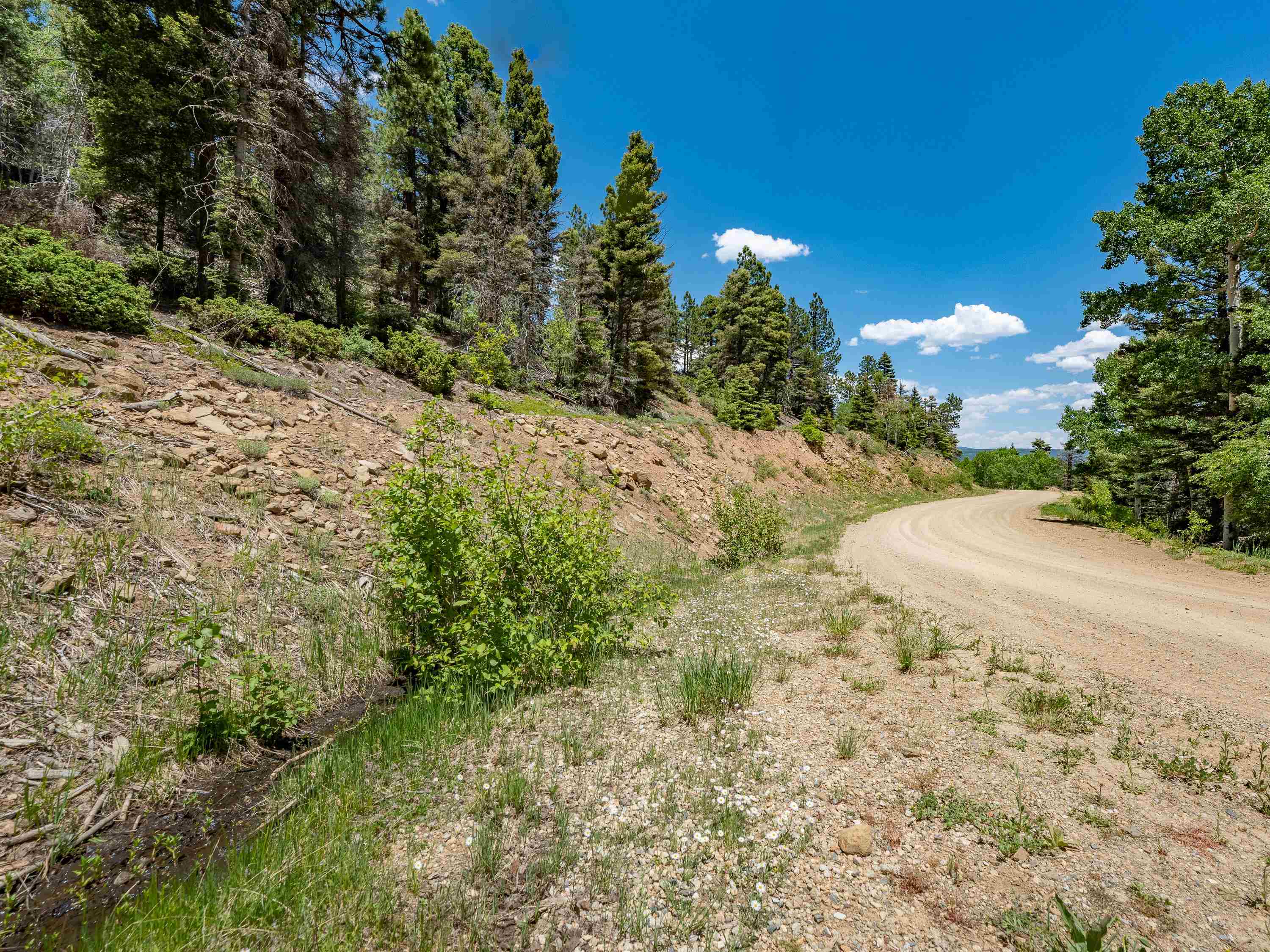 Angel Fire, New Mexico 87710, United States, ,Land,Active,163445