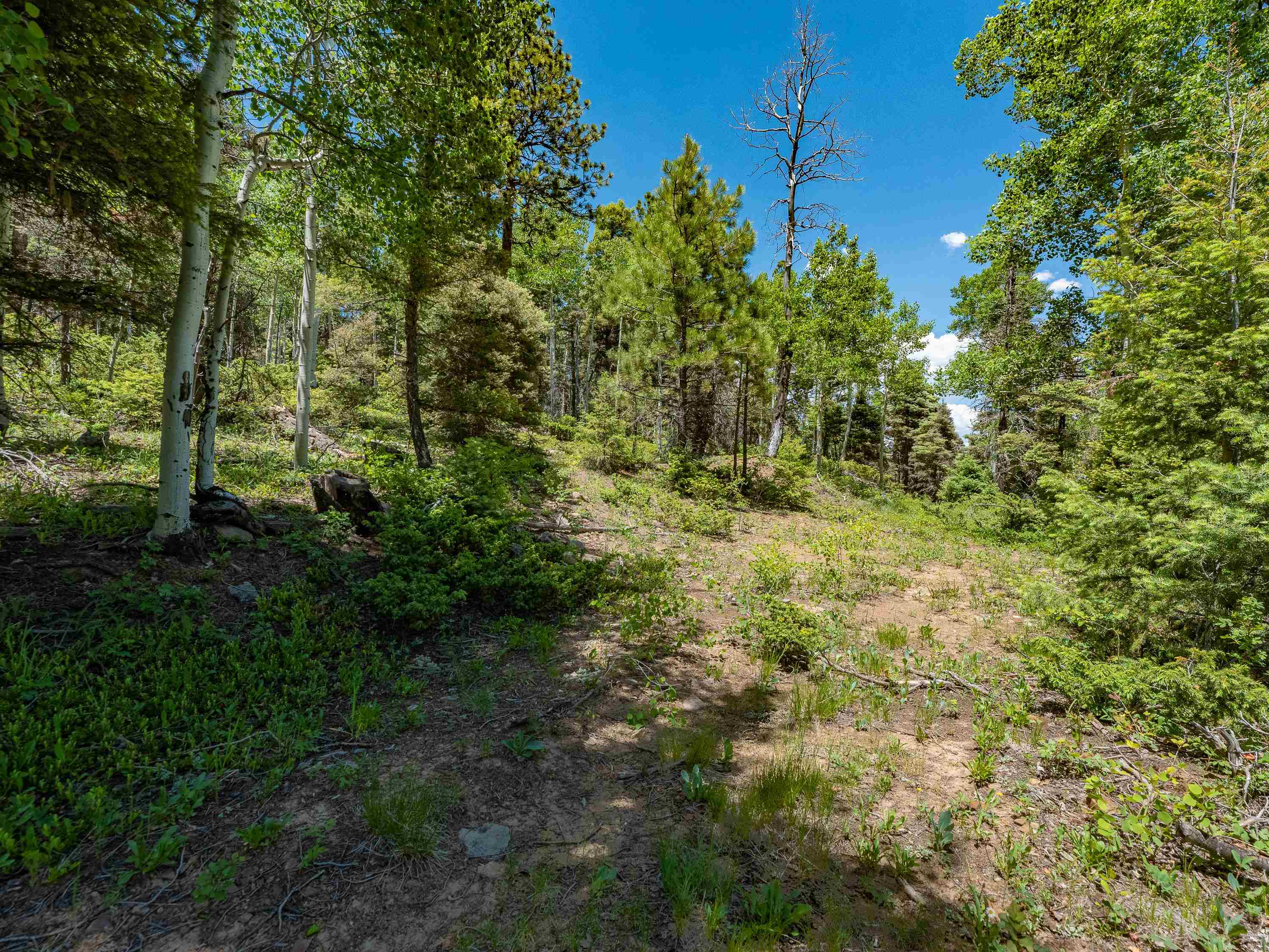 Angel Fire, New Mexico 87710, United States, ,Land,Active,163445
