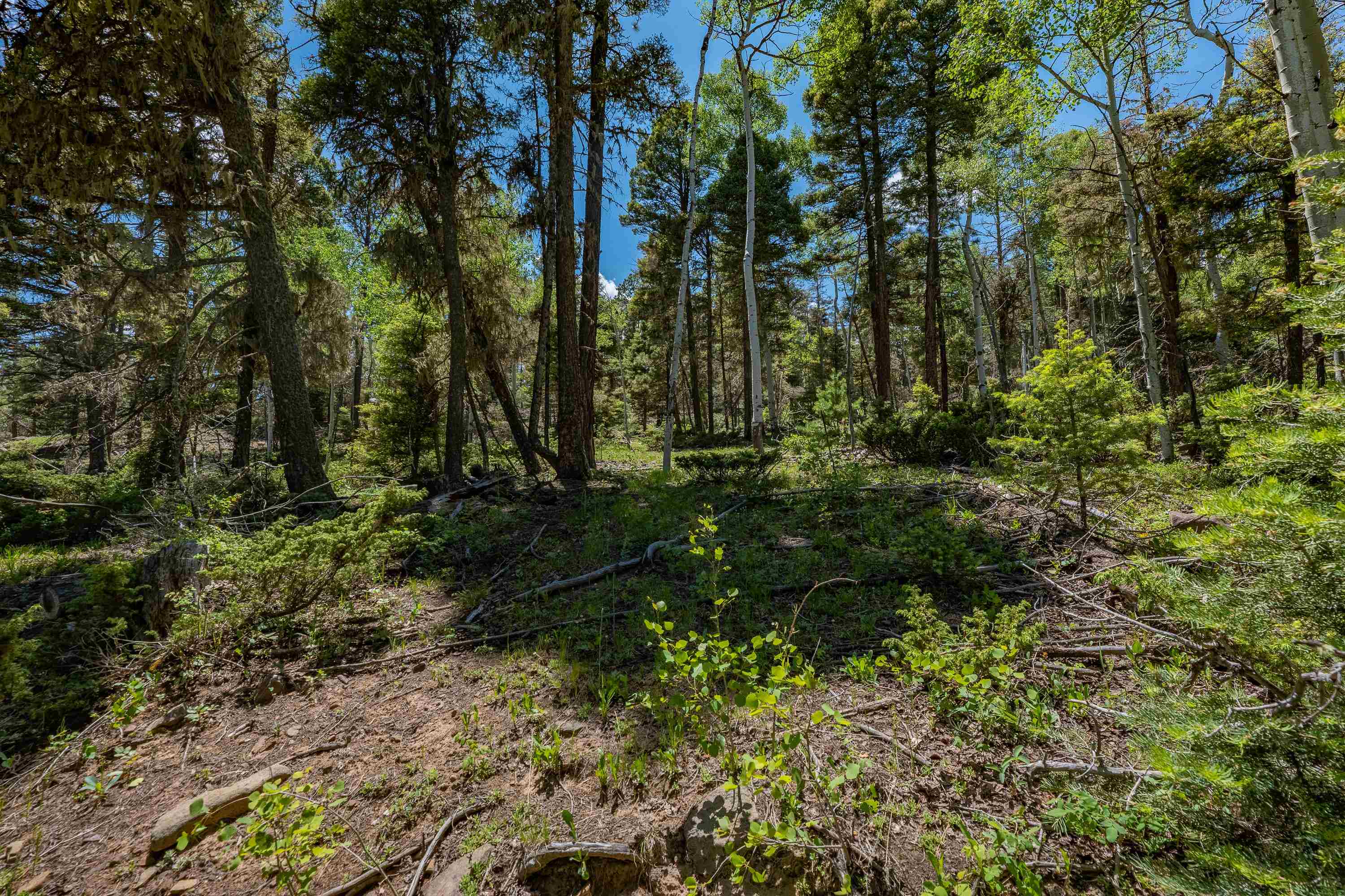 Angel Fire, New Mexico 87710, United States, ,Land,Active,163445