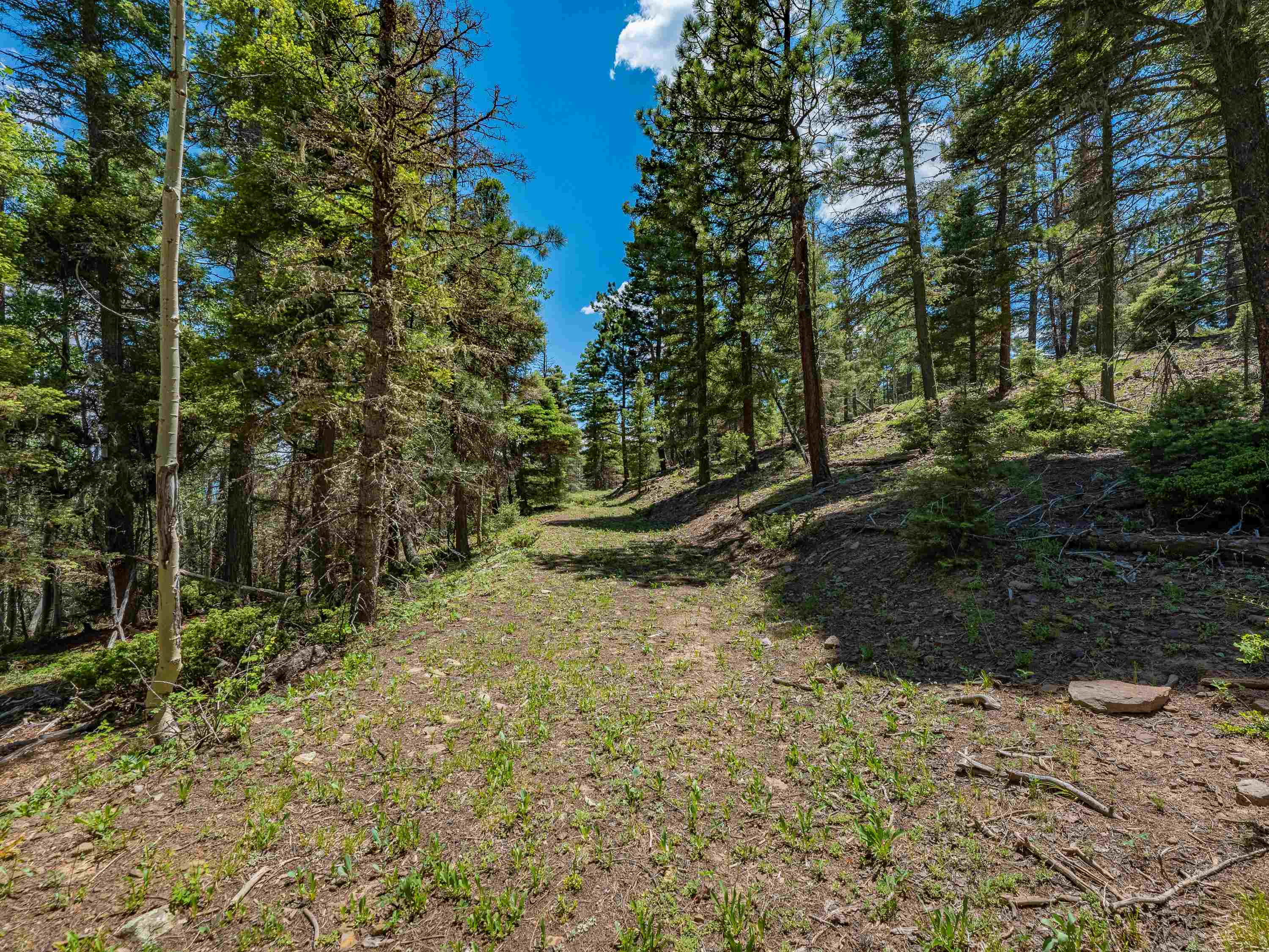 Angel Fire, New Mexico 87710, United States, ,Land,Active,163445