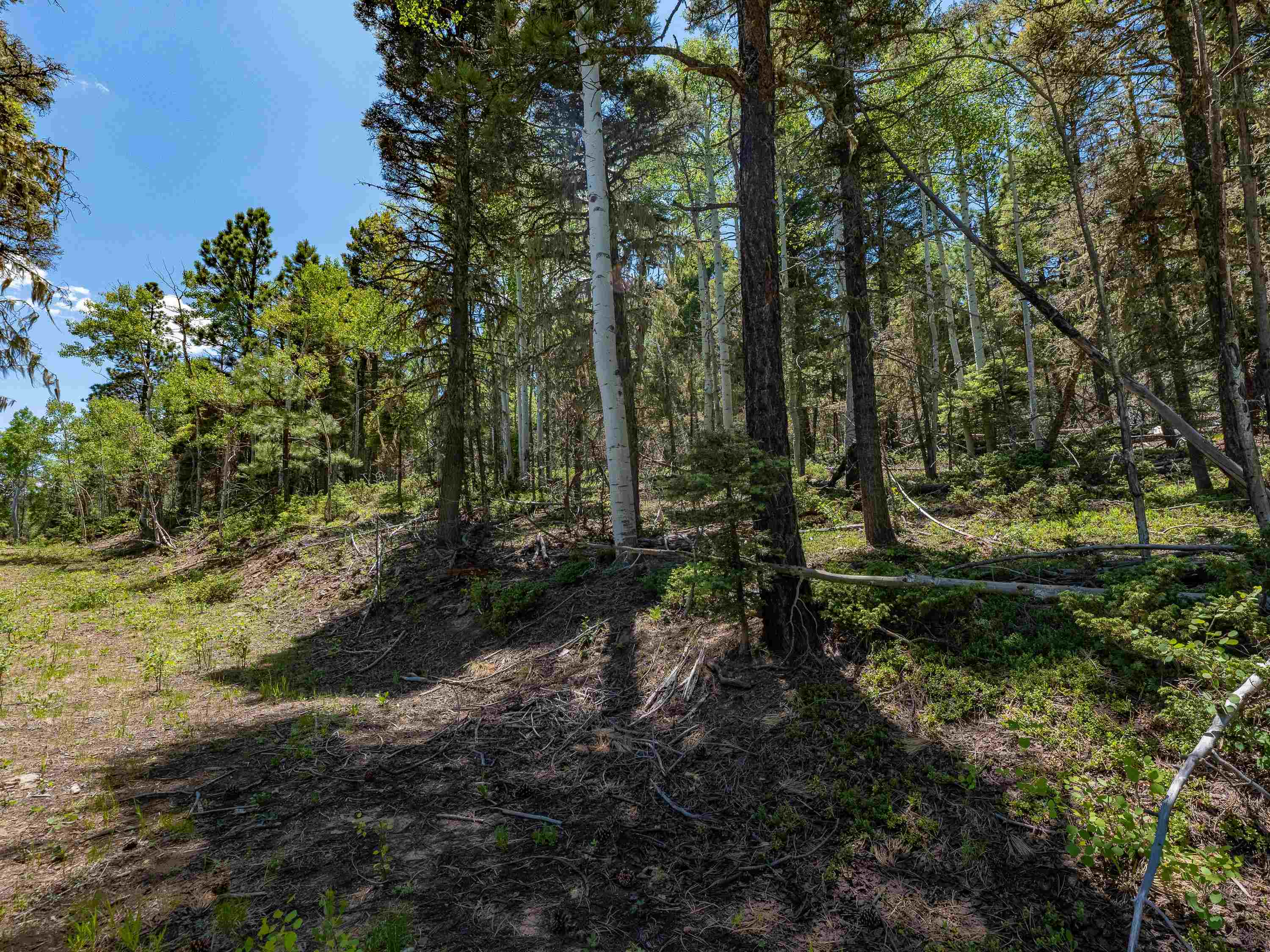 Angel Fire, New Mexico 87710, United States, ,Land,Active,163445