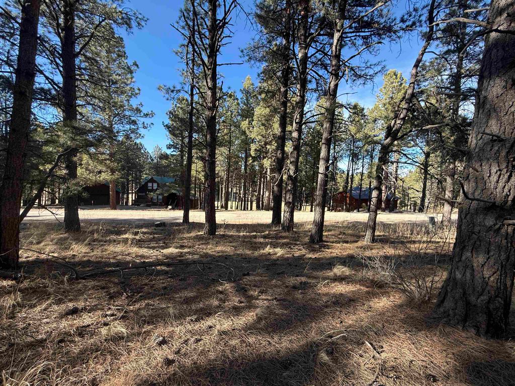 Photo of Lot 1113 Oakwood Ln, Angel Fire, NM 87710 (MLS # 114705)