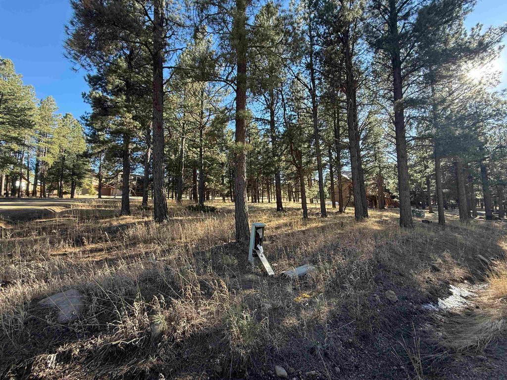 Photo of Lot 1113 Oakwood Ln, Angel Fire, NM 87710 (MLS # 114705)