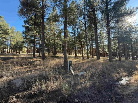 Vacant Land For Sale - LOT 1113 Oakwood Ln<br/> Angel Fire, NM 87710