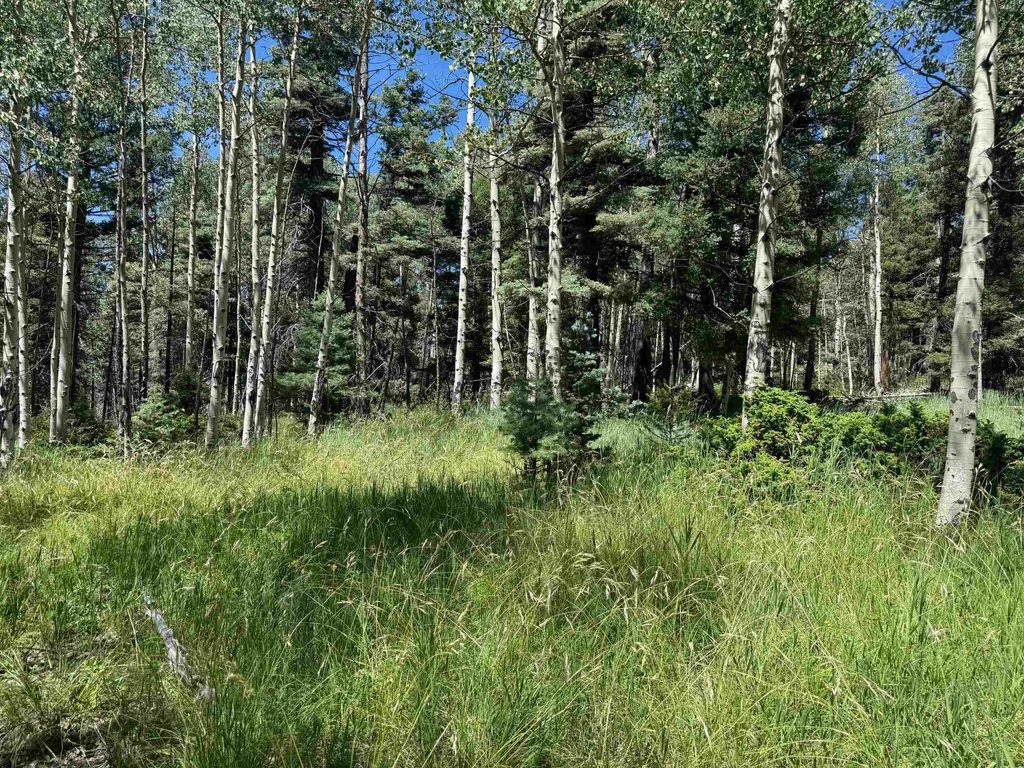 Photo of Lot 1012 El Camino Real, Angel Fire, NM 87710 (MLS # 113818)