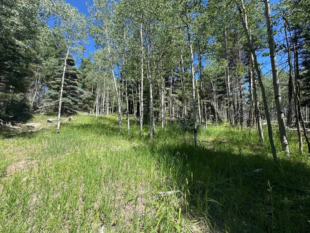 Photo of Lot 1012 El Camino Real, Angel Fire, NM 87710 (MLS # 113818)