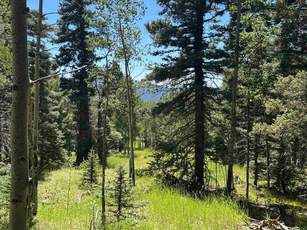 Photo of Lot 1012 El Camino Real, Angel Fire, NM 87710 (MLS # 113818)