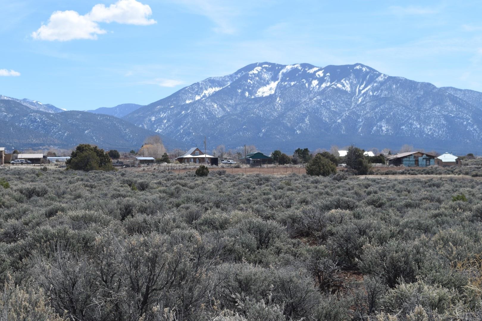 Tracts B4B5B6 Almas Road, Arroyo Seco, New Mexico image 4