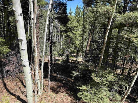 Vacant Land For Sale - LOT 716 Santo Domingo Trl<br/> Angel Fire, NM 87710