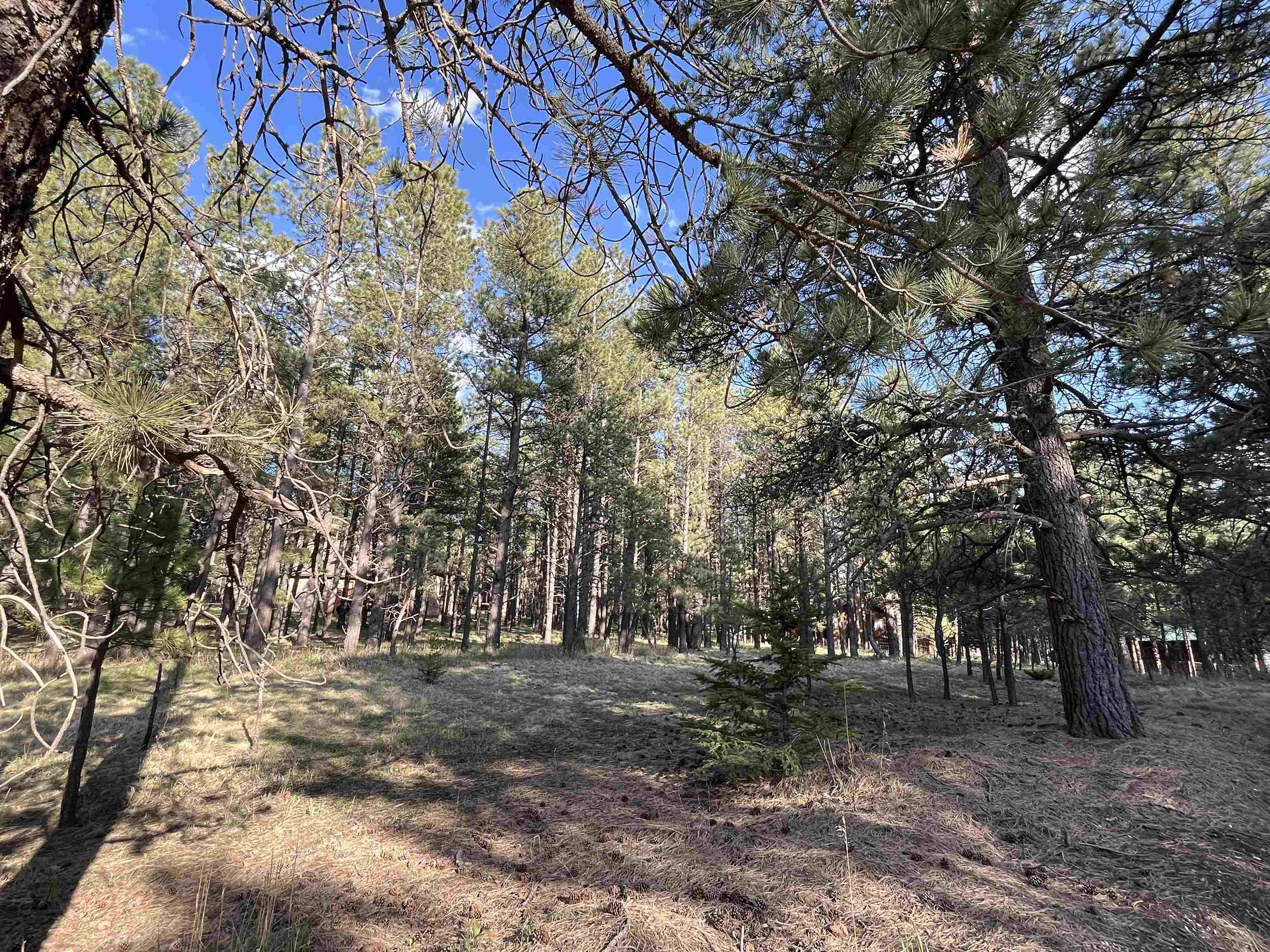 Lot 8 Pine Valley Dr, Angel Fire, New Mexico image 2