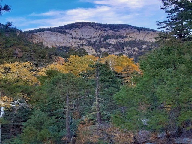 End Of El Salto Road, Arroyo Seco, New Mexico image 30