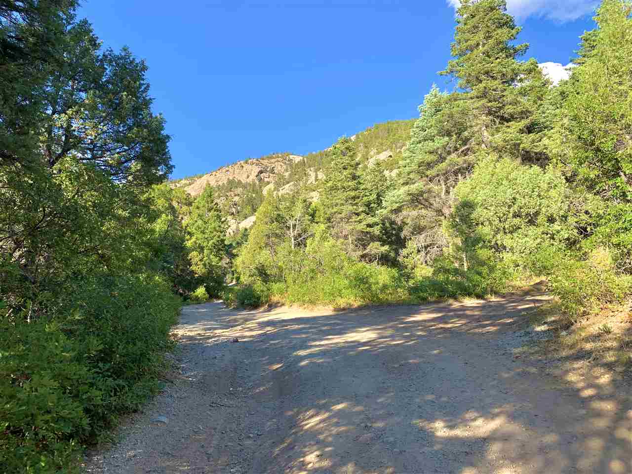 End Of El Salto Road, Arroyo Seco, New Mexico image 3