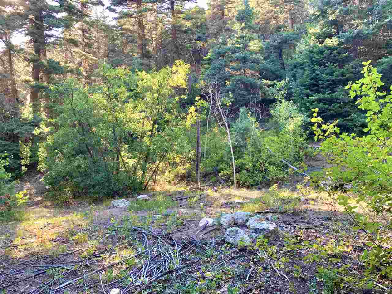 End Of El Salto Road, Arroyo Seco, New Mexico image 4