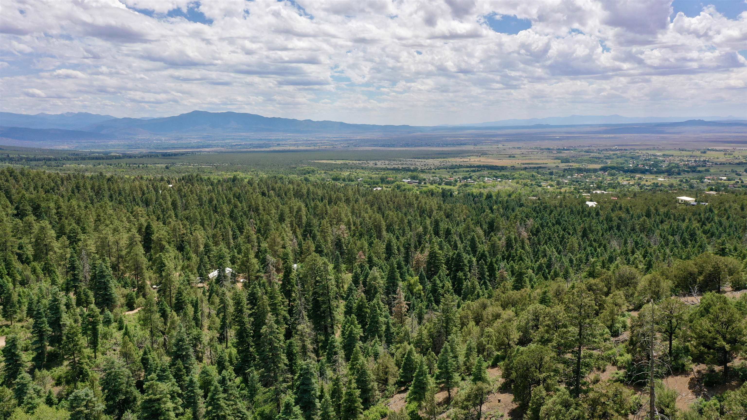 End Of El Salto Road, Arroyo Seco, New Mexico image 13