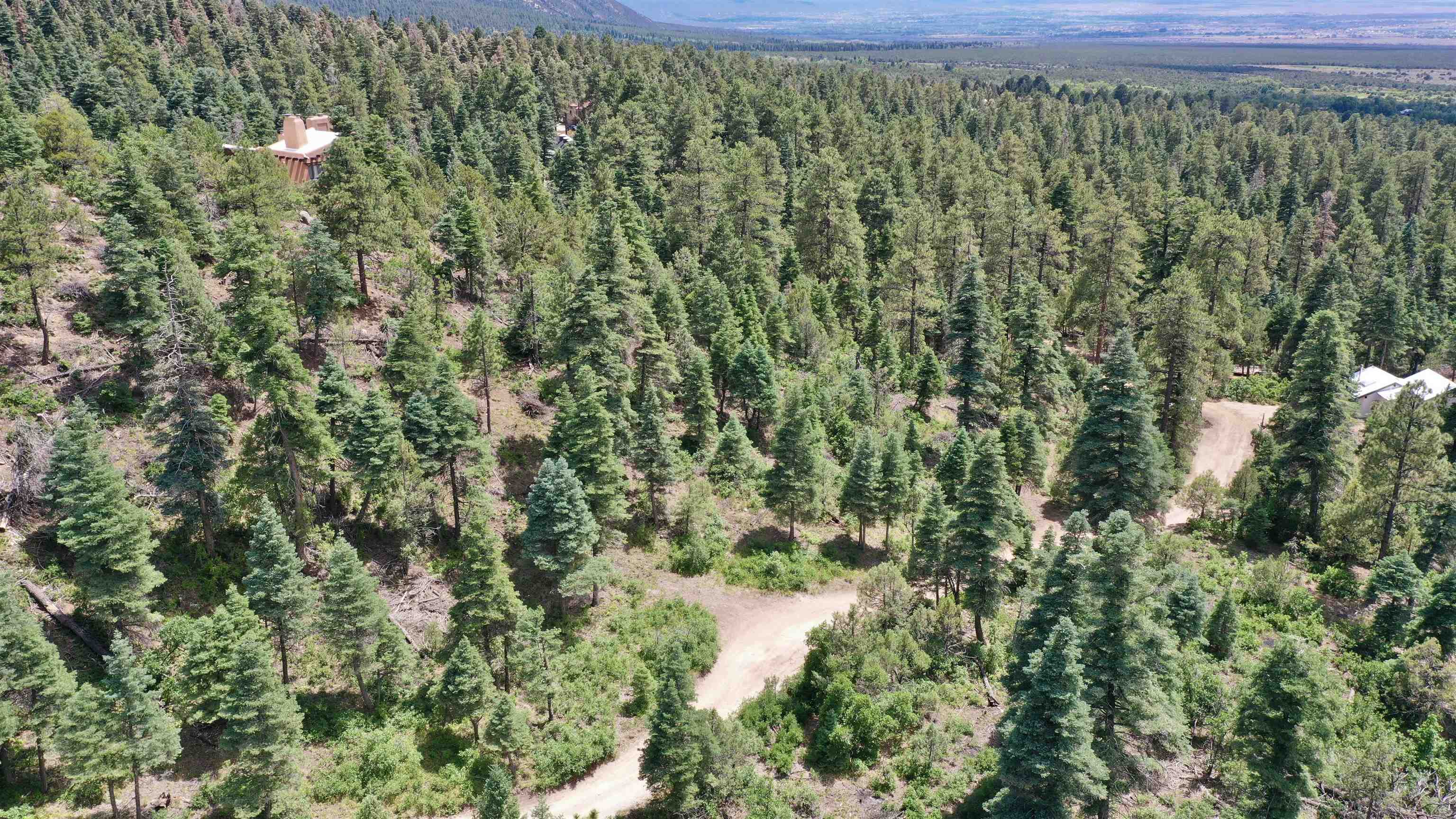 End Of El Salto Road, Arroyo Seco, New Mexico image 23