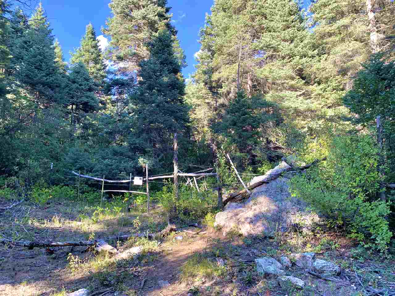 End Of El Salto Road, Arroyo Seco, New Mexico image 17