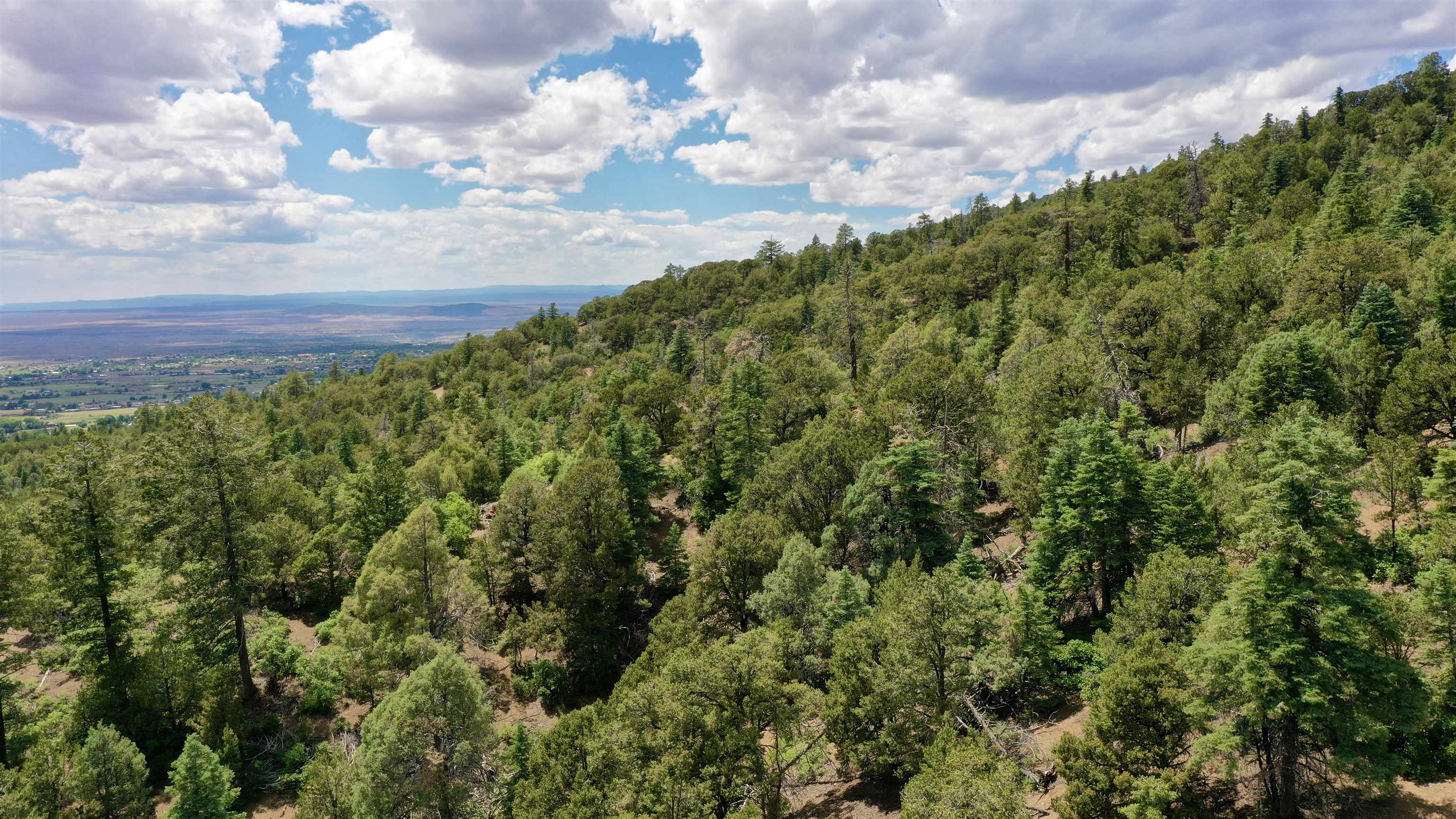 End Of El Salto Road, Arroyo Seco, New Mexico image 18