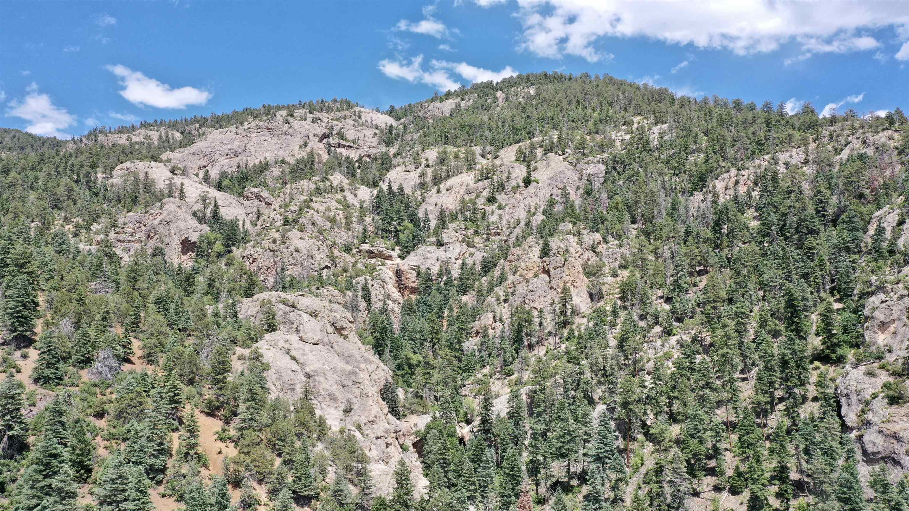 End Of El Salto Road, Arroyo Seco, New Mexico image 29