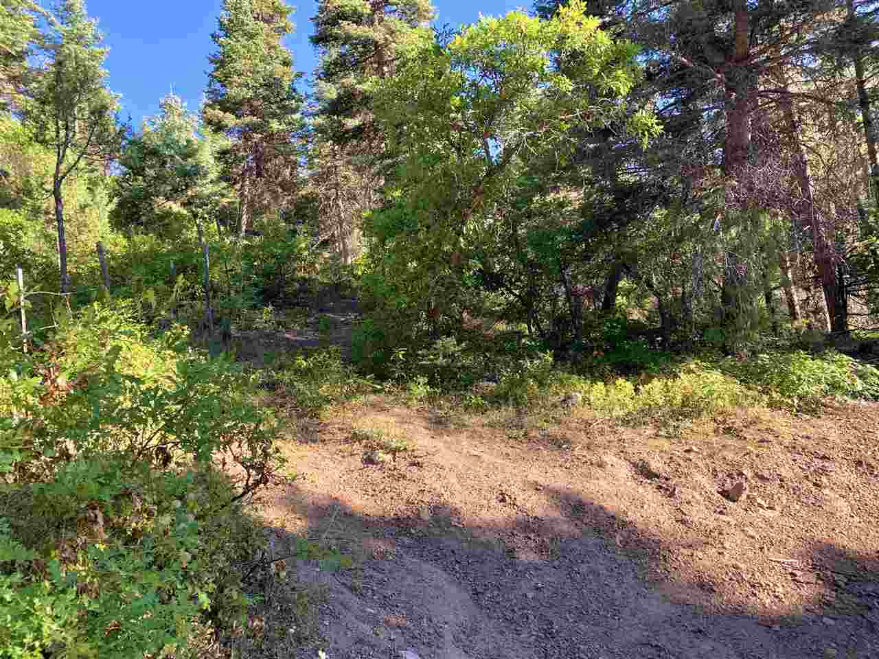 End Of El Salto Road, Arroyo Seco, New Mexico image 16