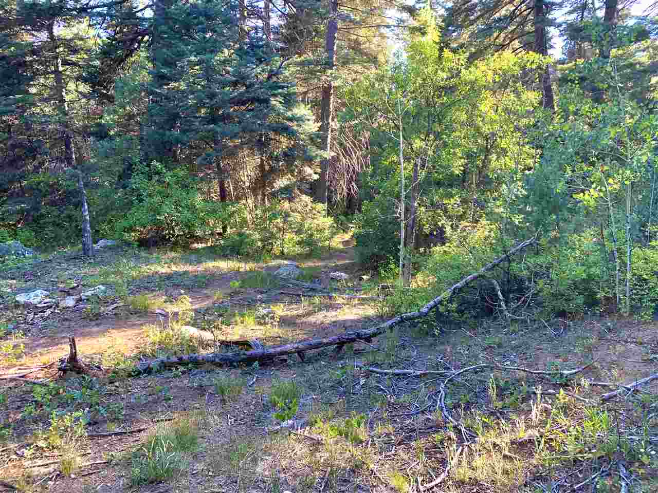 End Of El Salto Road, Arroyo Seco, New Mexico image 15