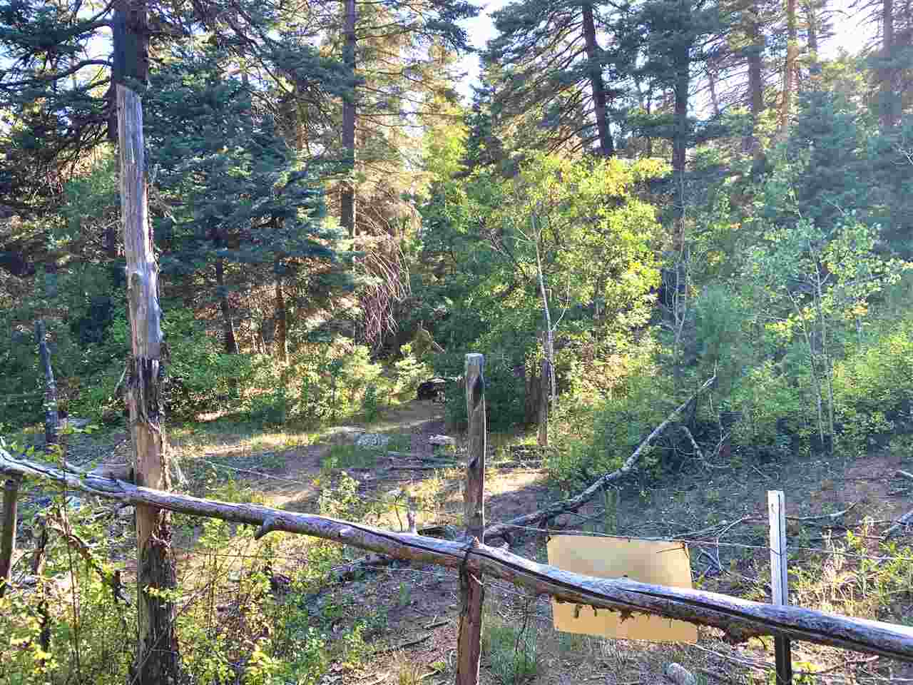 End Of El Salto Road, Arroyo Seco, New Mexico image 26