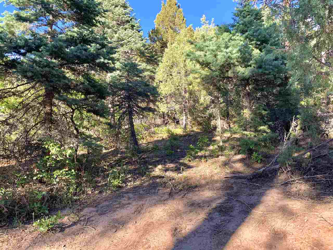 End Of El Salto Road, Arroyo Seco, New Mexico image 7