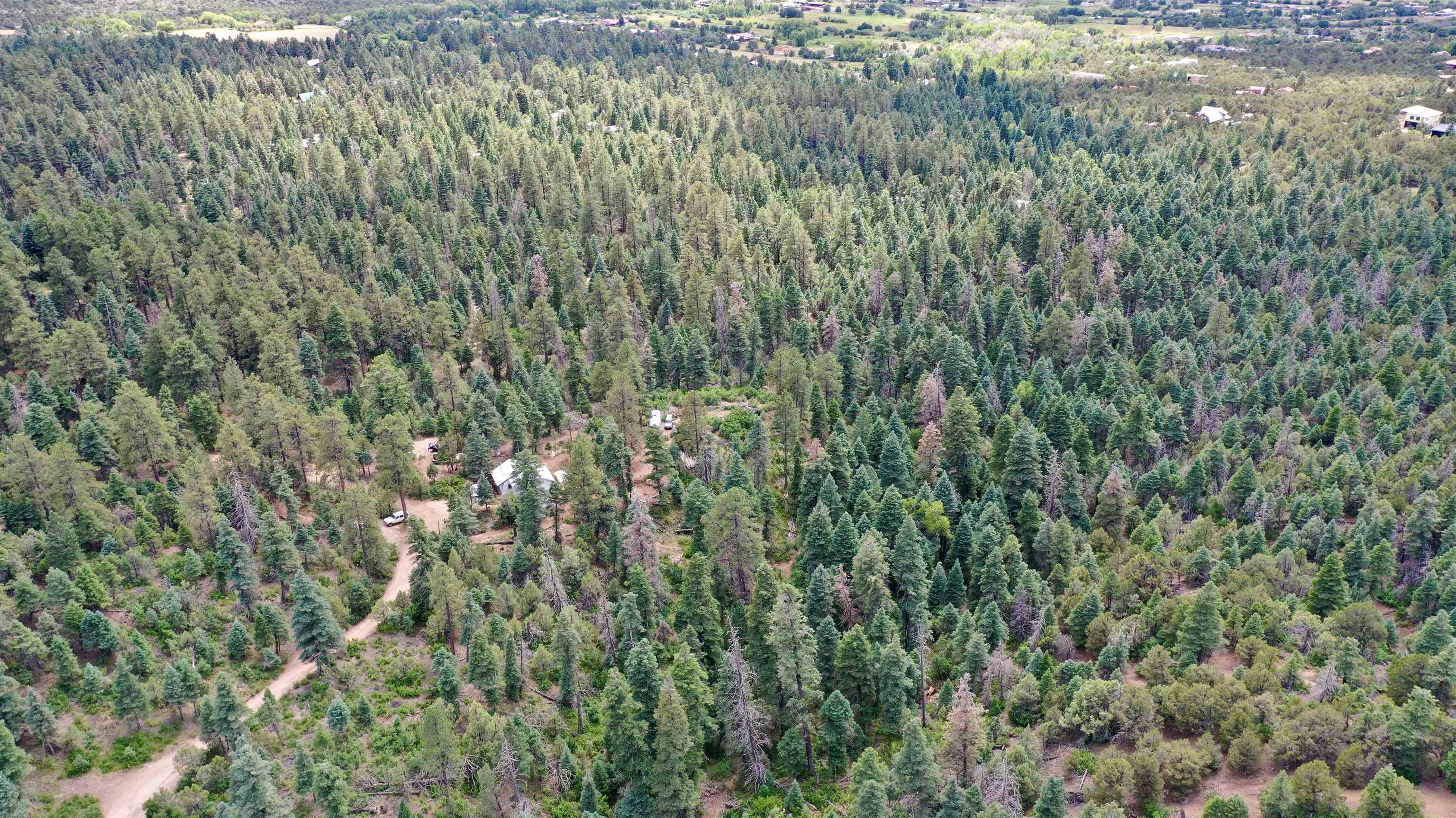 End Of El Salto Road, Arroyo Seco, New Mexico image 11