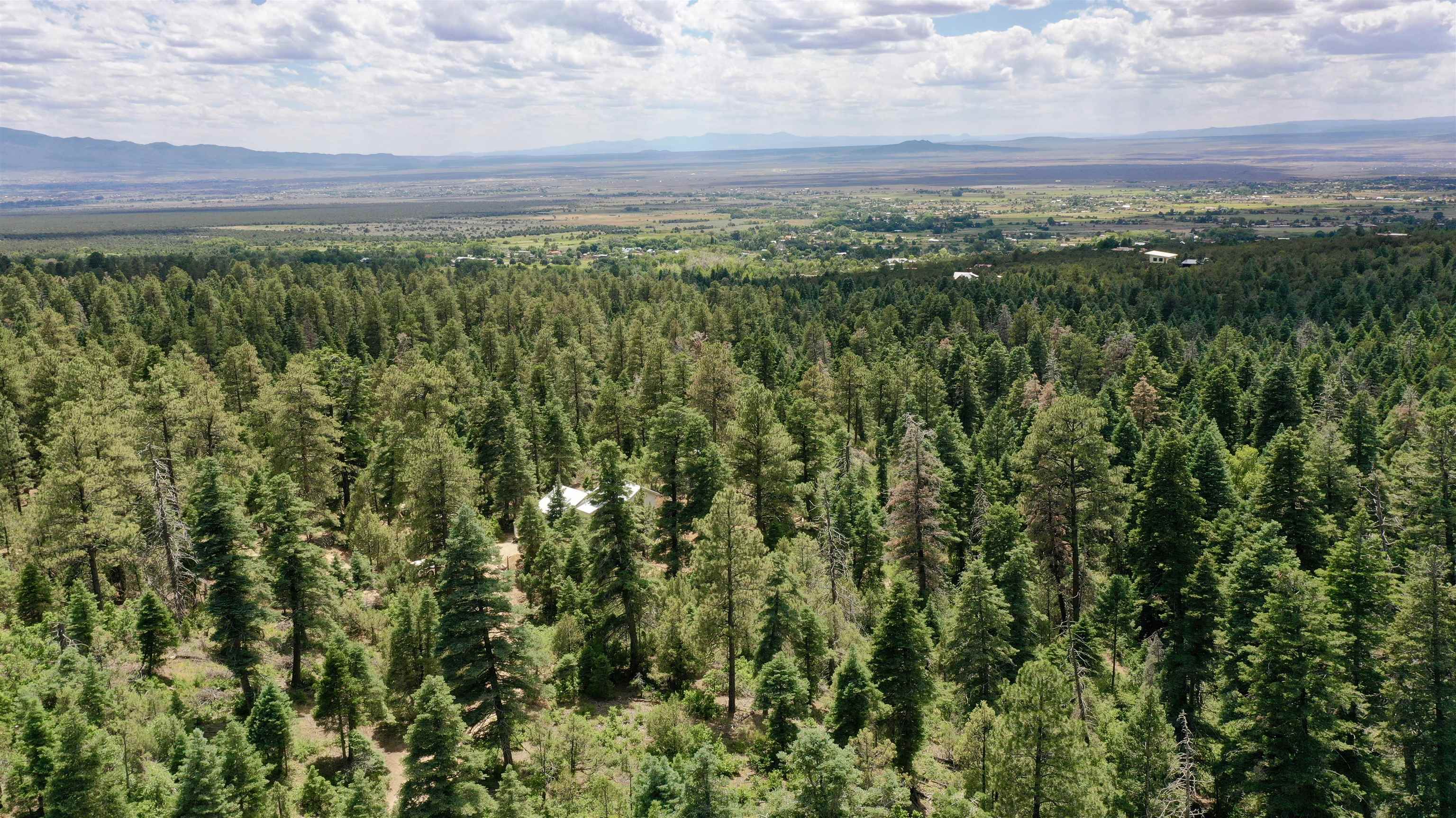 End Of El Salto Road, Arroyo Seco, New Mexico image 21