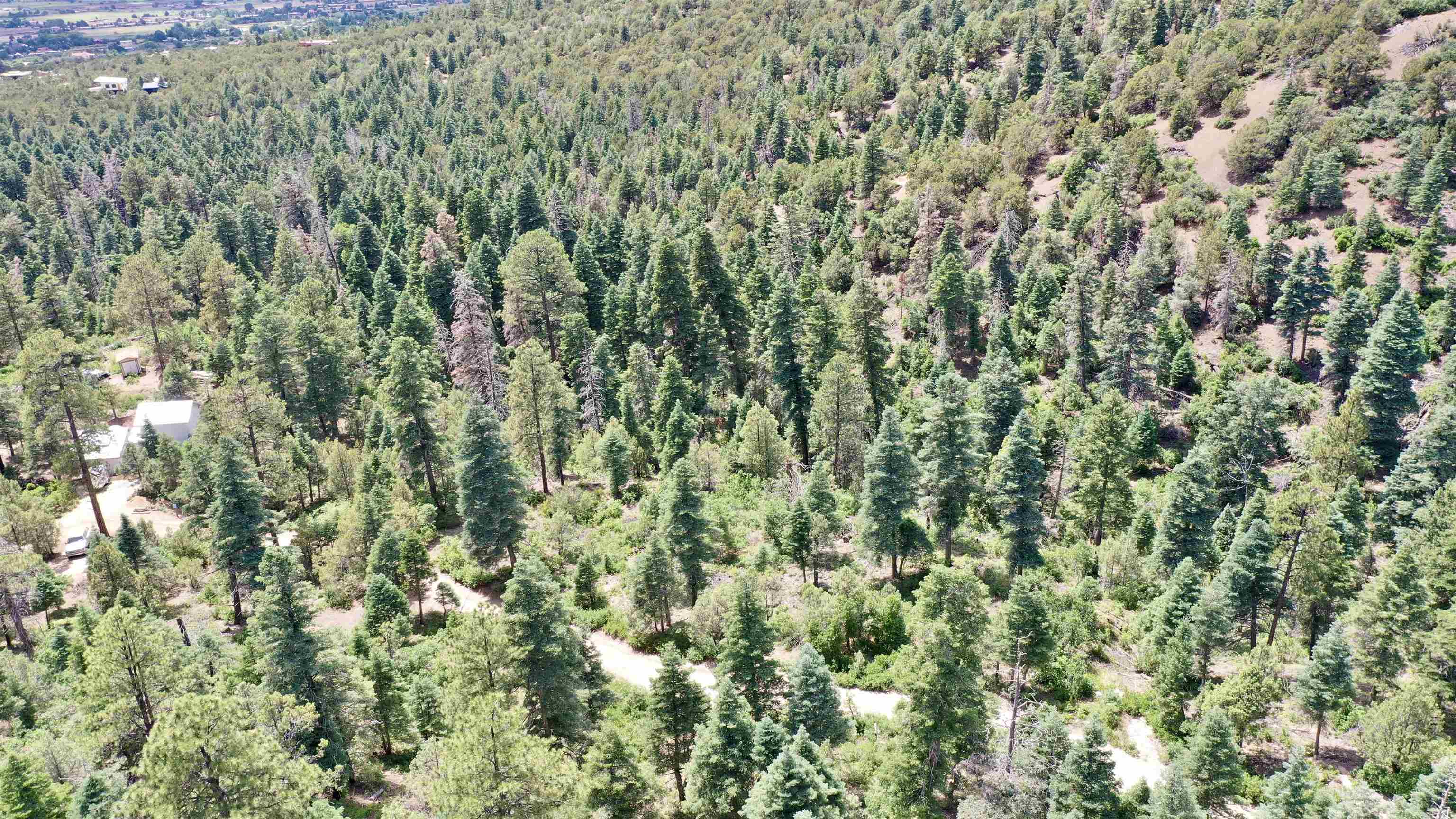 End Of El Salto Road, Arroyo Seco, New Mexico image 19