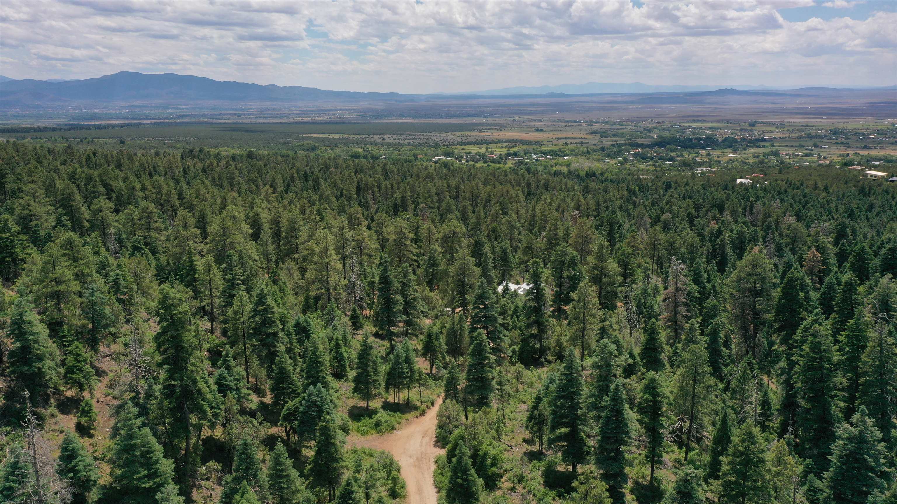 End Of El Salto Road, Arroyo Seco, New Mexico image 12