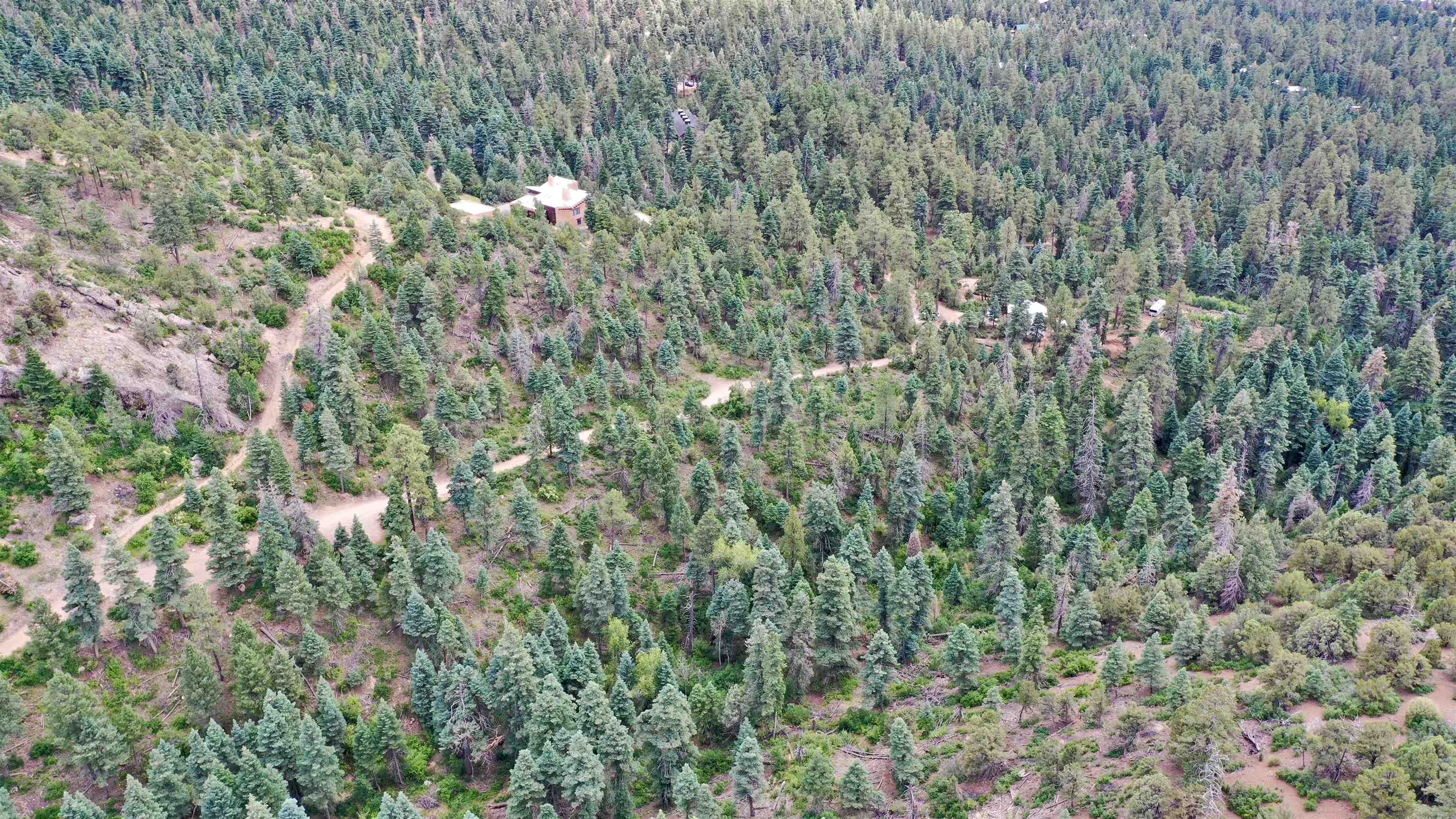 End Of El Salto Road, Arroyo Seco, New Mexico image 6