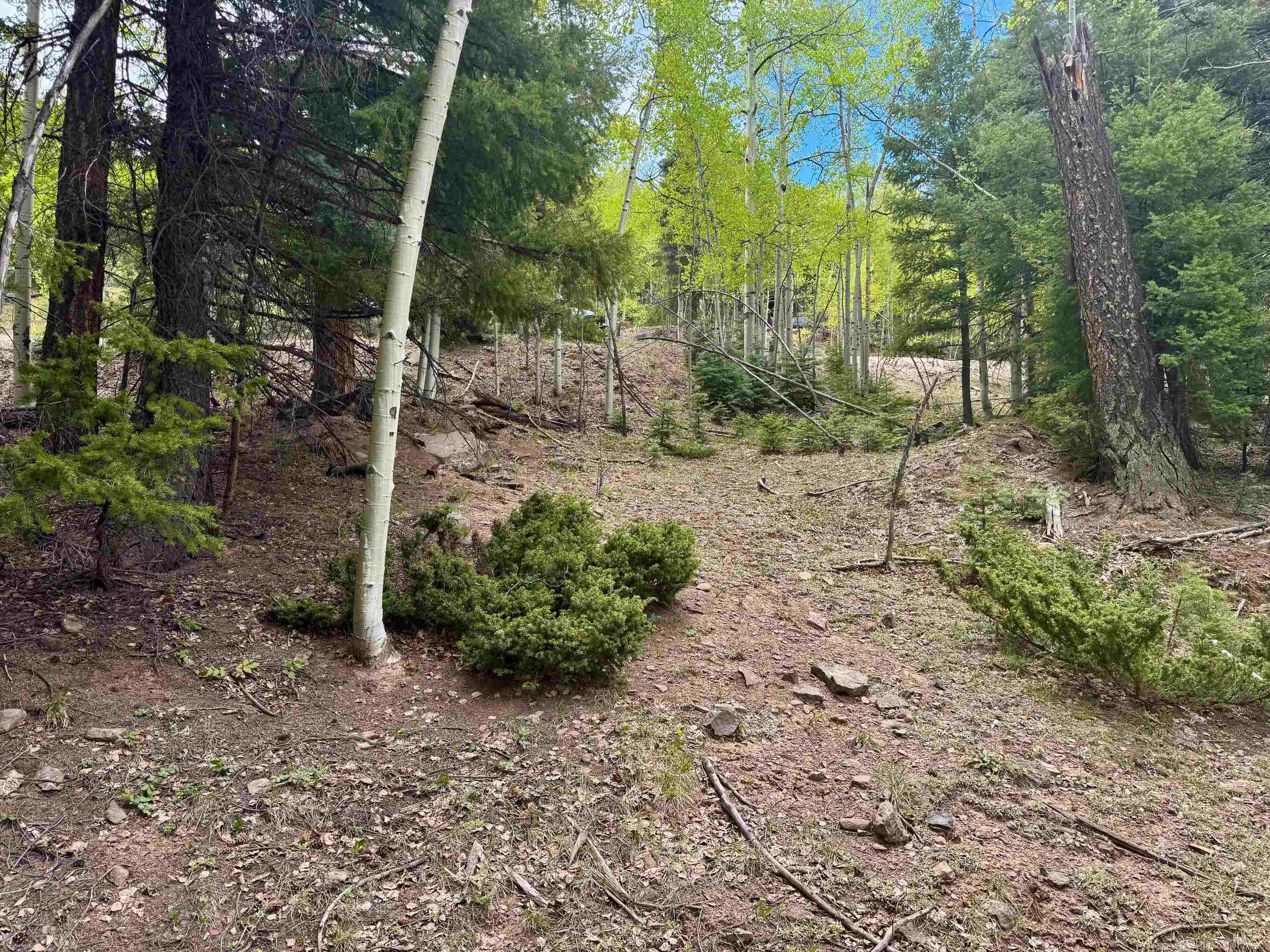 Lot 455 El Camino Real, Angel Fire, New Mexico image 4