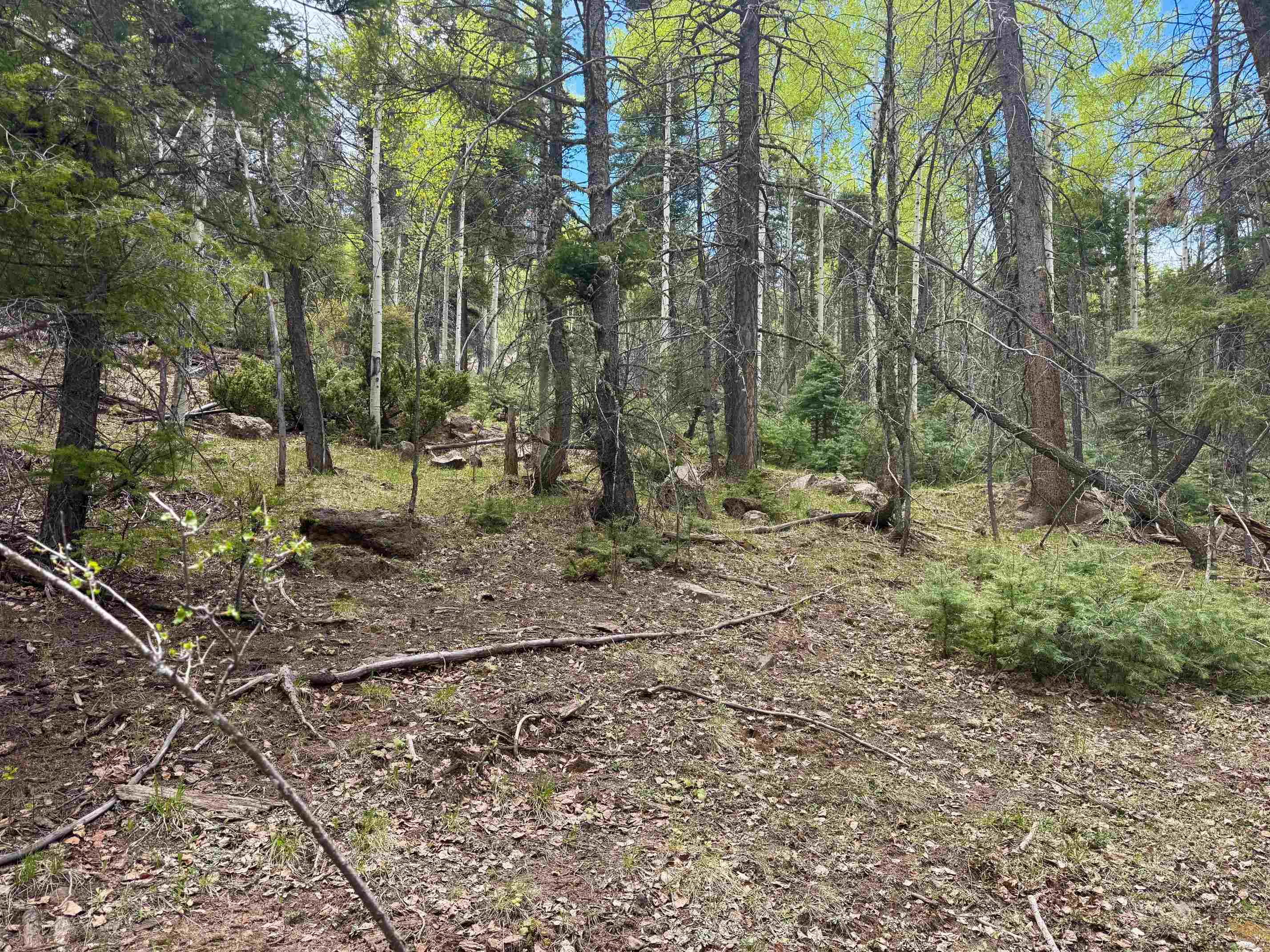 Lot 455 El Camino Real, Angel Fire, New Mexico image 12