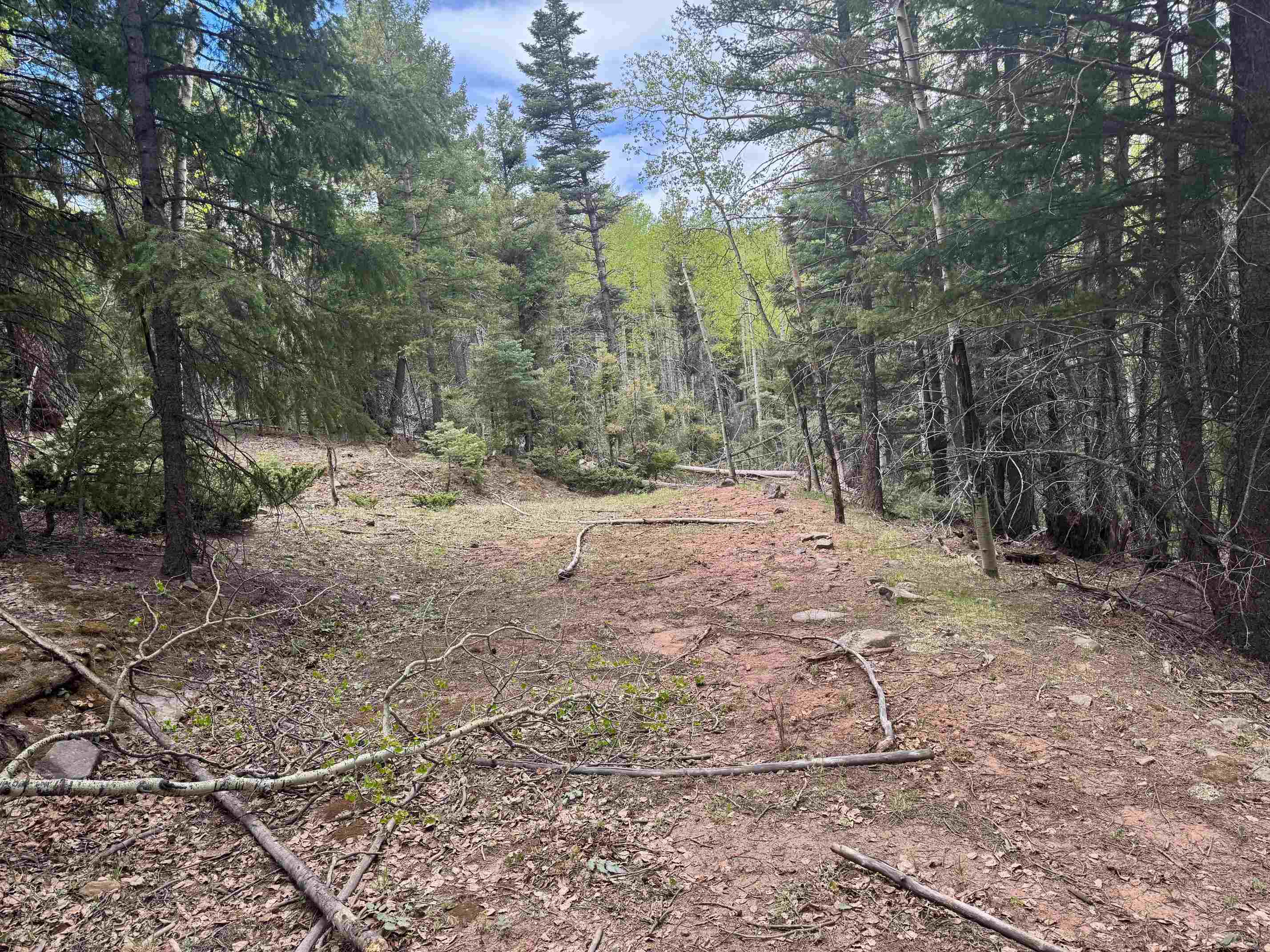 Lot 455 El Camino Real, Angel Fire, New Mexico image 3