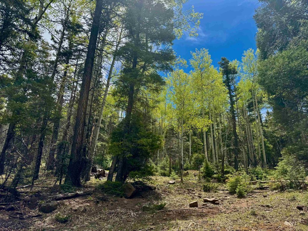 Photo of Lot 455 El Camino Real, Angel Fire, NM 87710 (MLS # 113376)