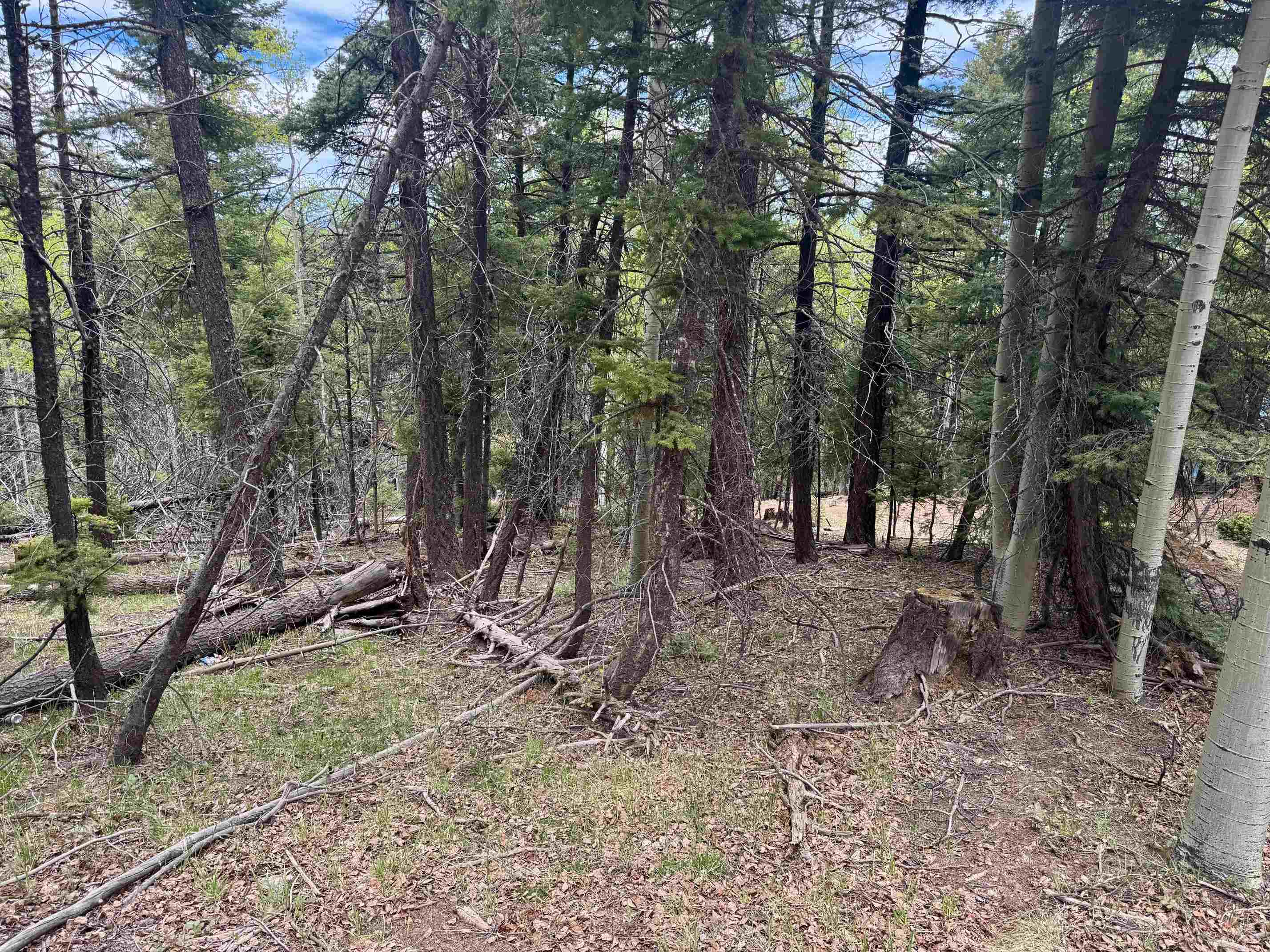 Lot 455 El Camino Real, Angel Fire, New Mexico image 11