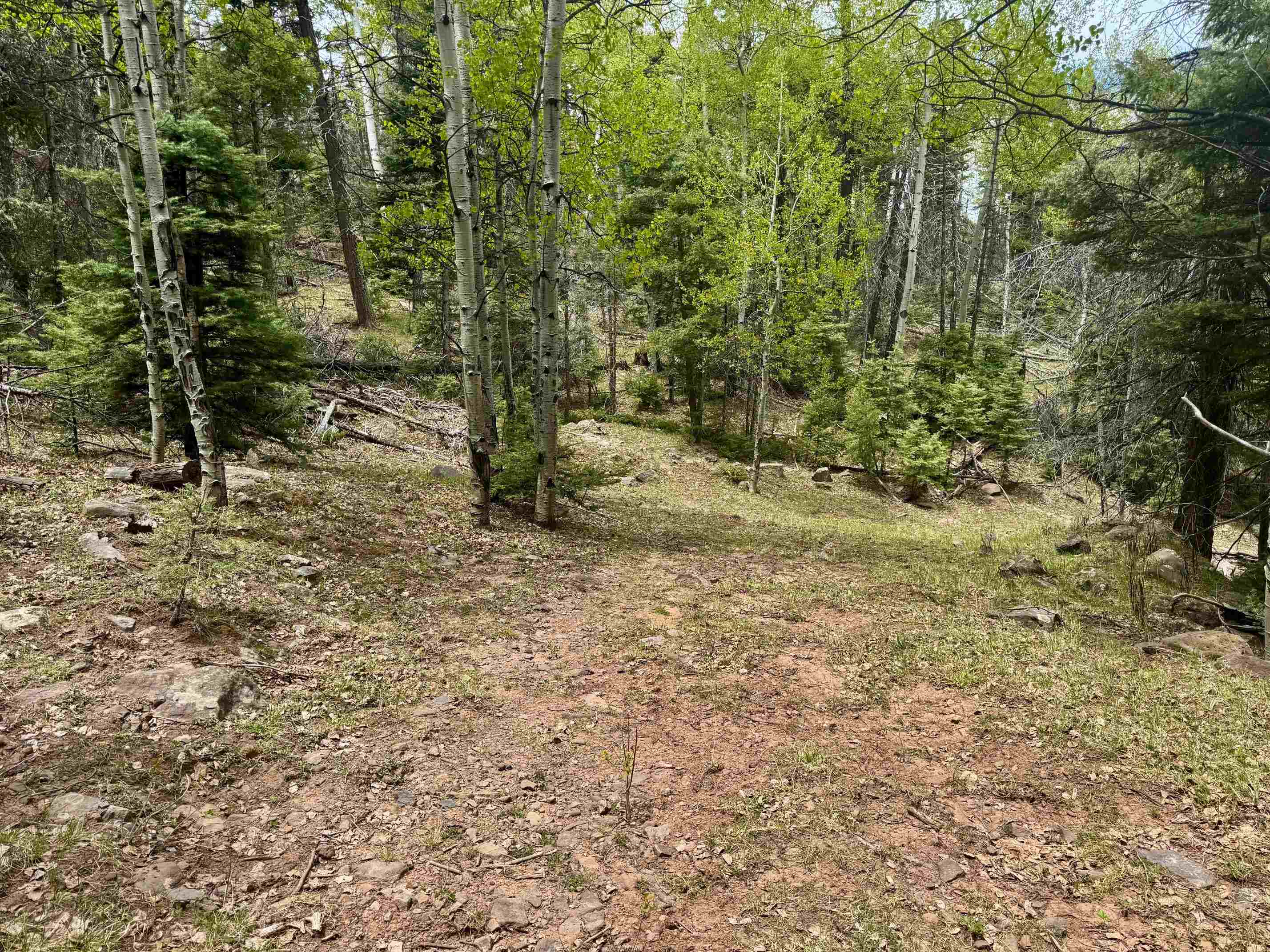 Lot 455 El Camino Real, Angel Fire, New Mexico image 14
