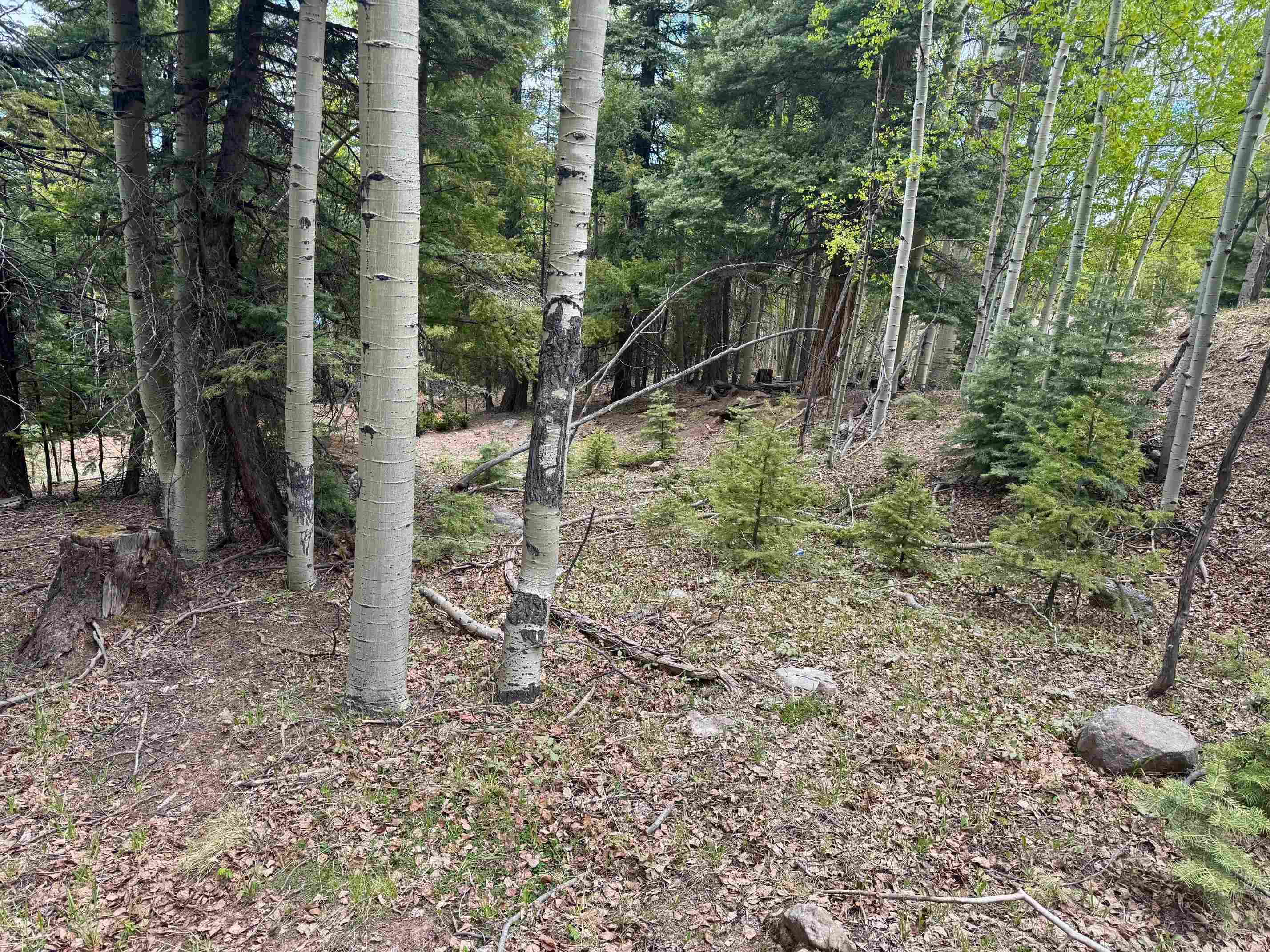 Lot 455 El Camino Real, Angel Fire, New Mexico image 2