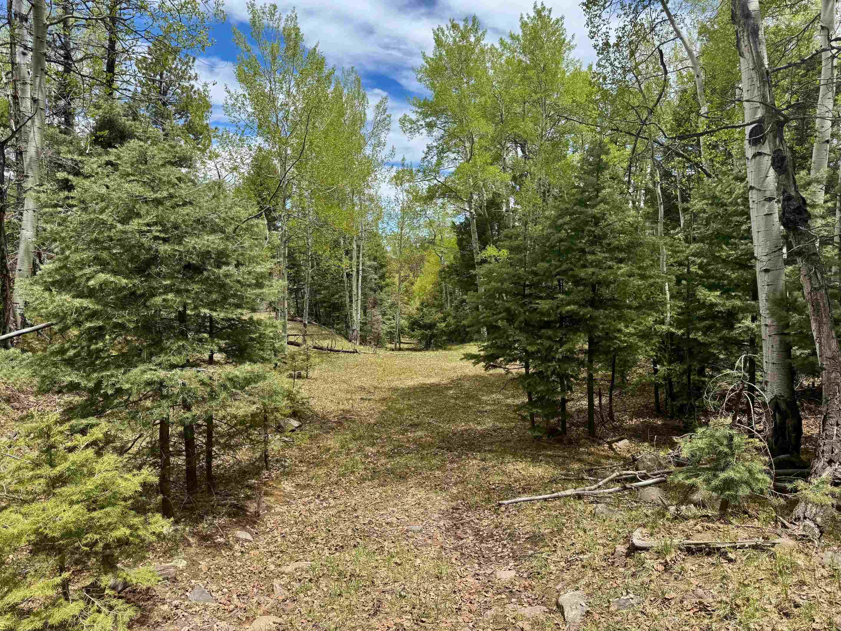 Lot 455 El Camino Real, Angel Fire, New Mexico image 15