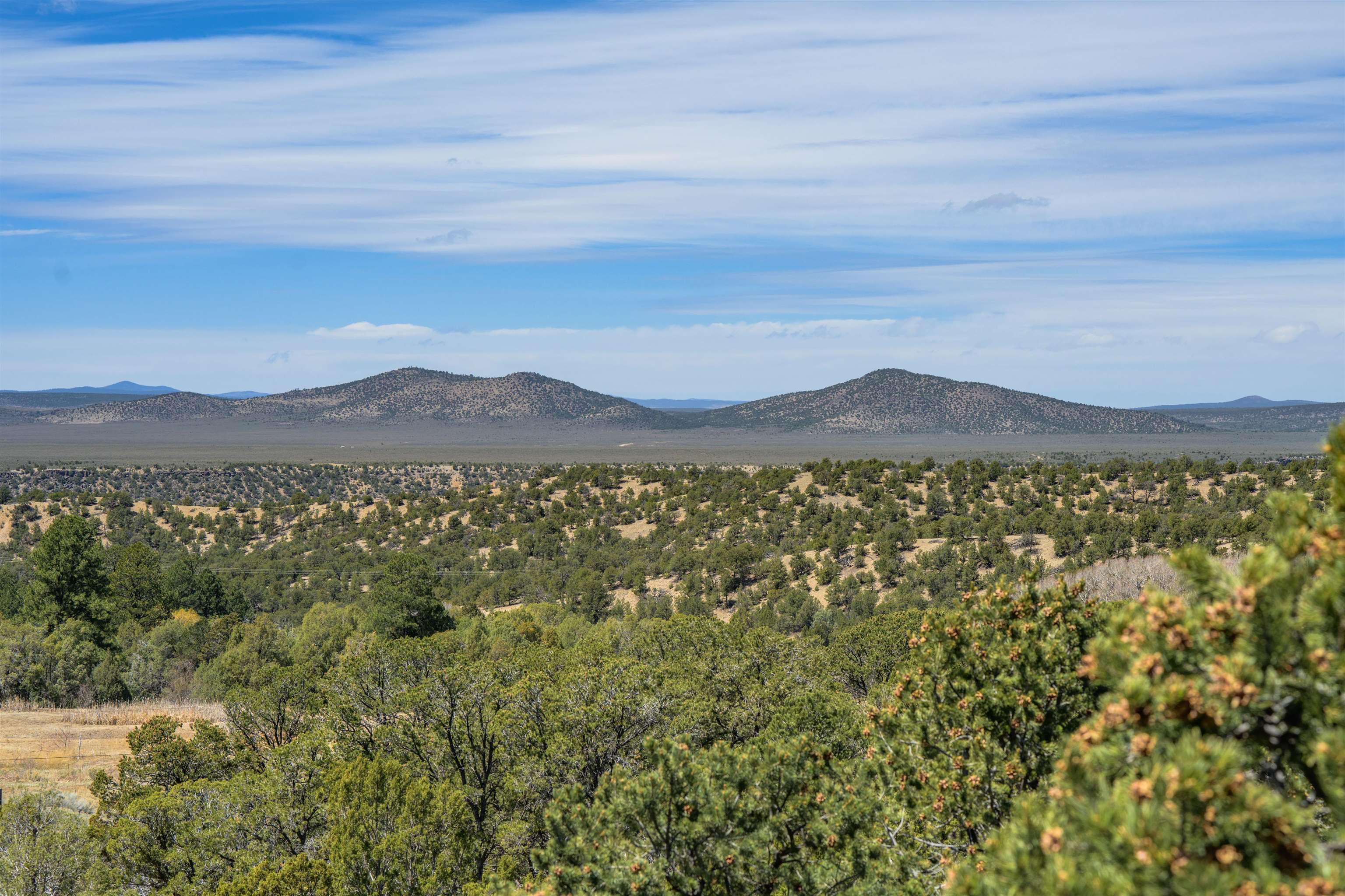 1568 Nm 522, Taos, New Mexico image 7