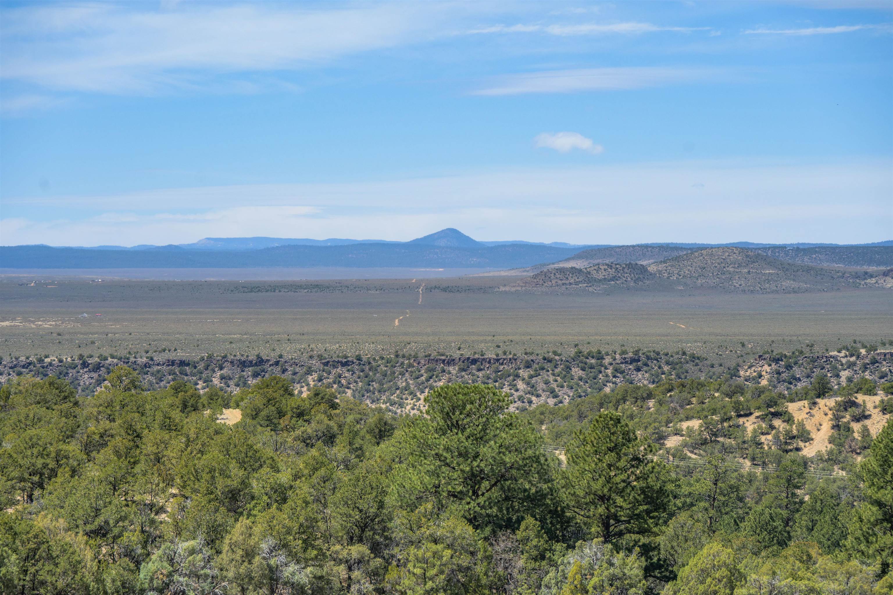 1568 Nm 522, Taos, New Mexico image 49