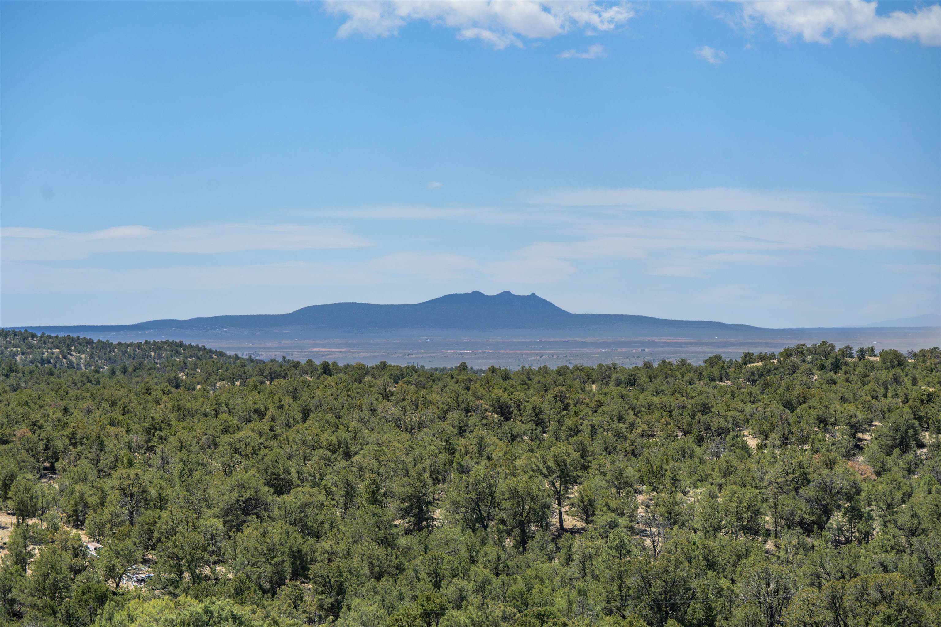 1568 Nm 522, Taos, New Mexico image 45
