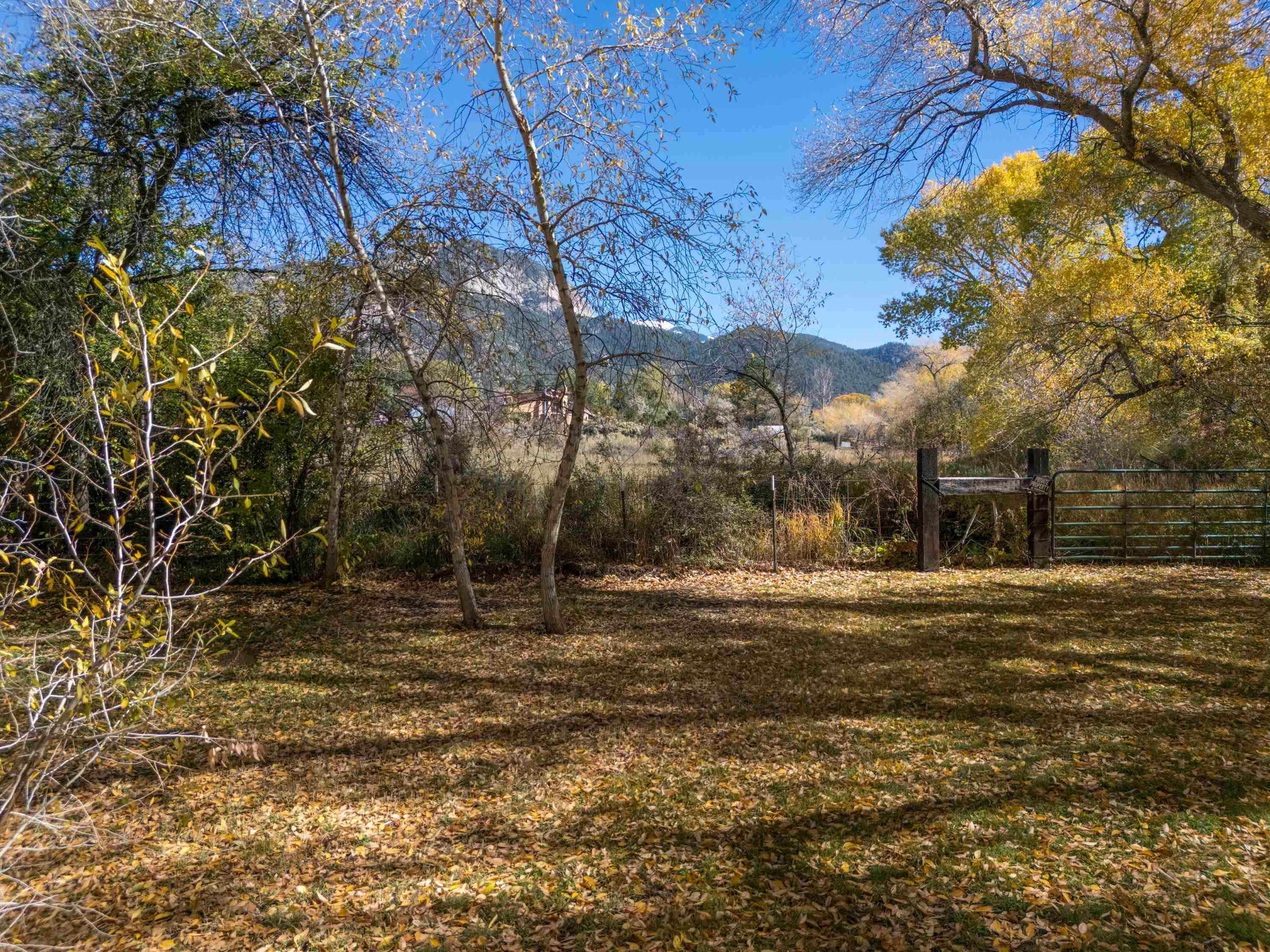 47 Juan Martinez Rd, Arroyo Seco, New Mexico image 44