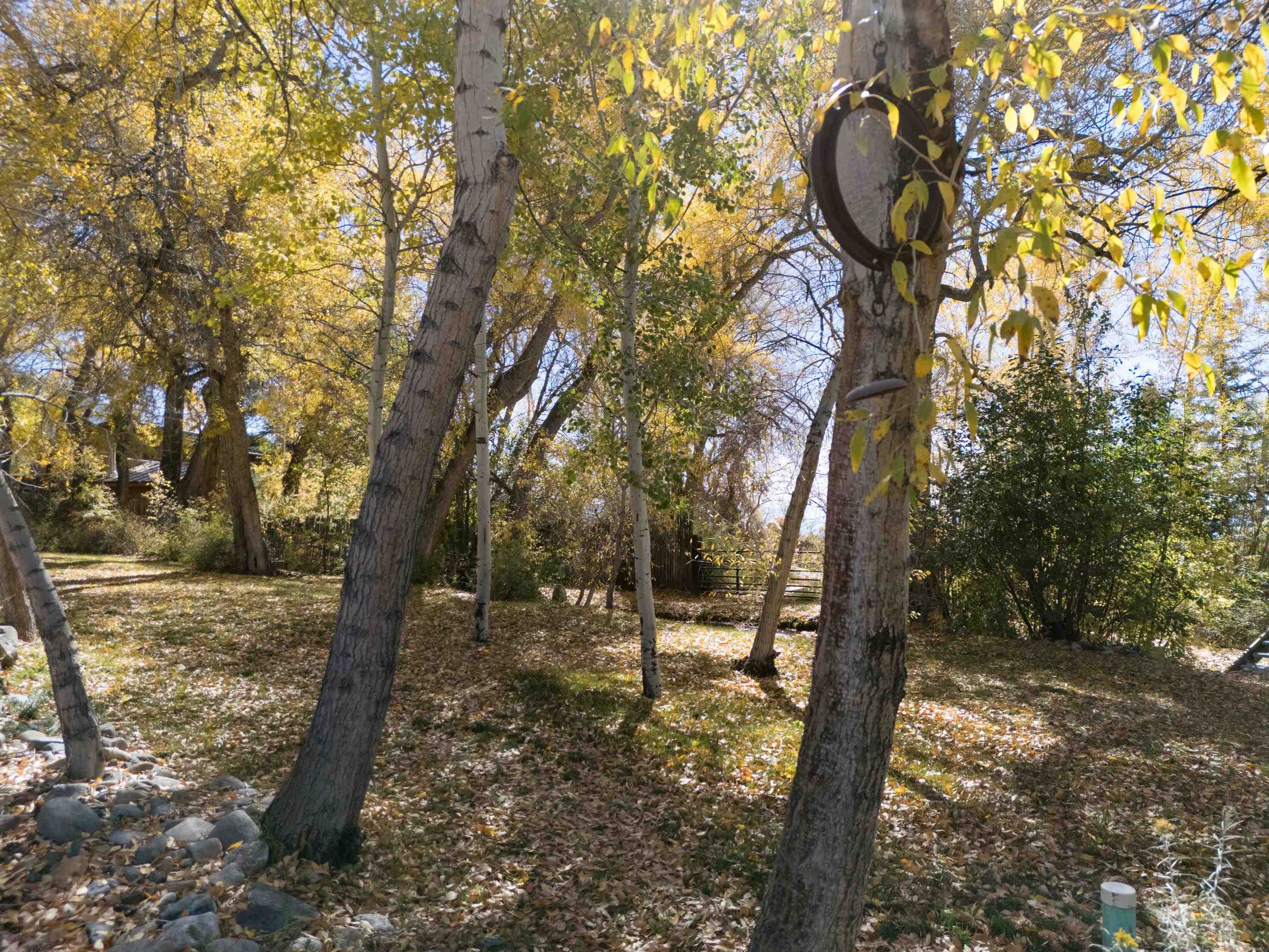 47 Juan Martinez Rd, Arroyo Seco, New Mexico image 33