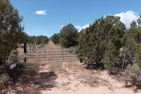Vacant Land For Sale - South Carson Road 39 Acres<br/> Carson, NM 87517