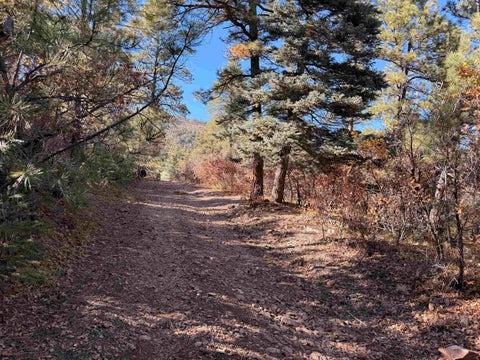 Vacant Land For Sale - 25 ACRES County Road A034<br/> Mora County, Guadalupita, NM 87722