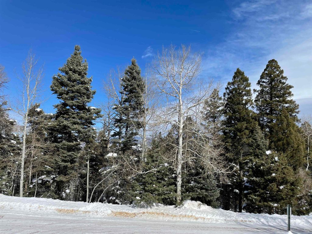 Photo of Lot 329 Rio Arriba Drive, Angel Fire, NM 87710 (MLS # 109874)